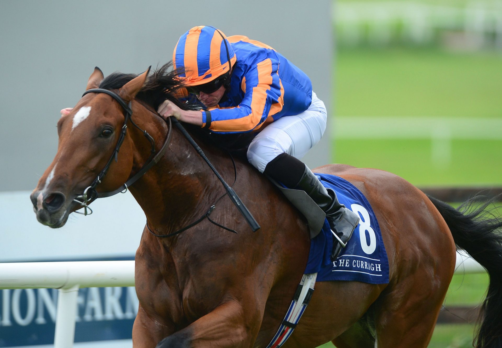 Mogul winning his maiden at the Curragh