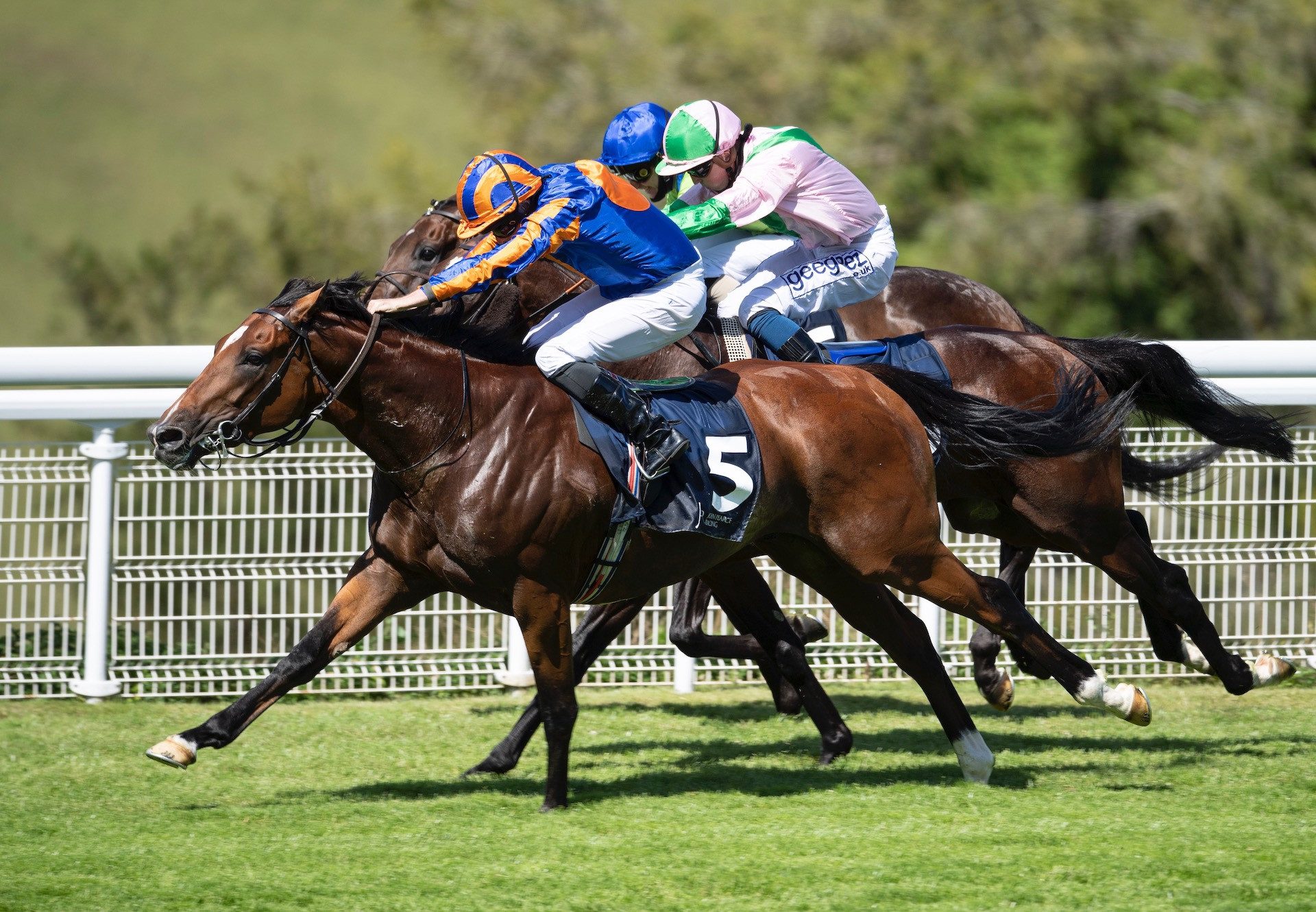 Mogul (Galileo) Wins The Gr.3 Gordon Stakes at Goodwood