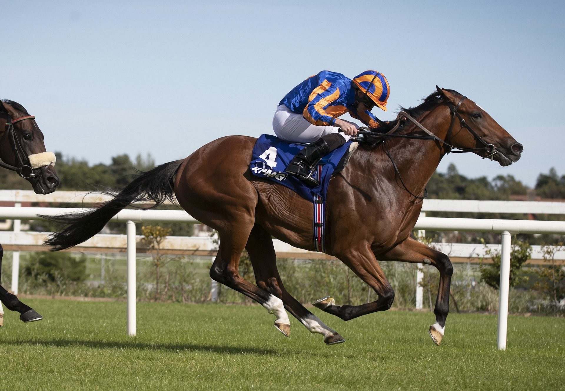 Mogul (Galileo) Wins The Gr.2 Juvenile Stakes at Leopardstown