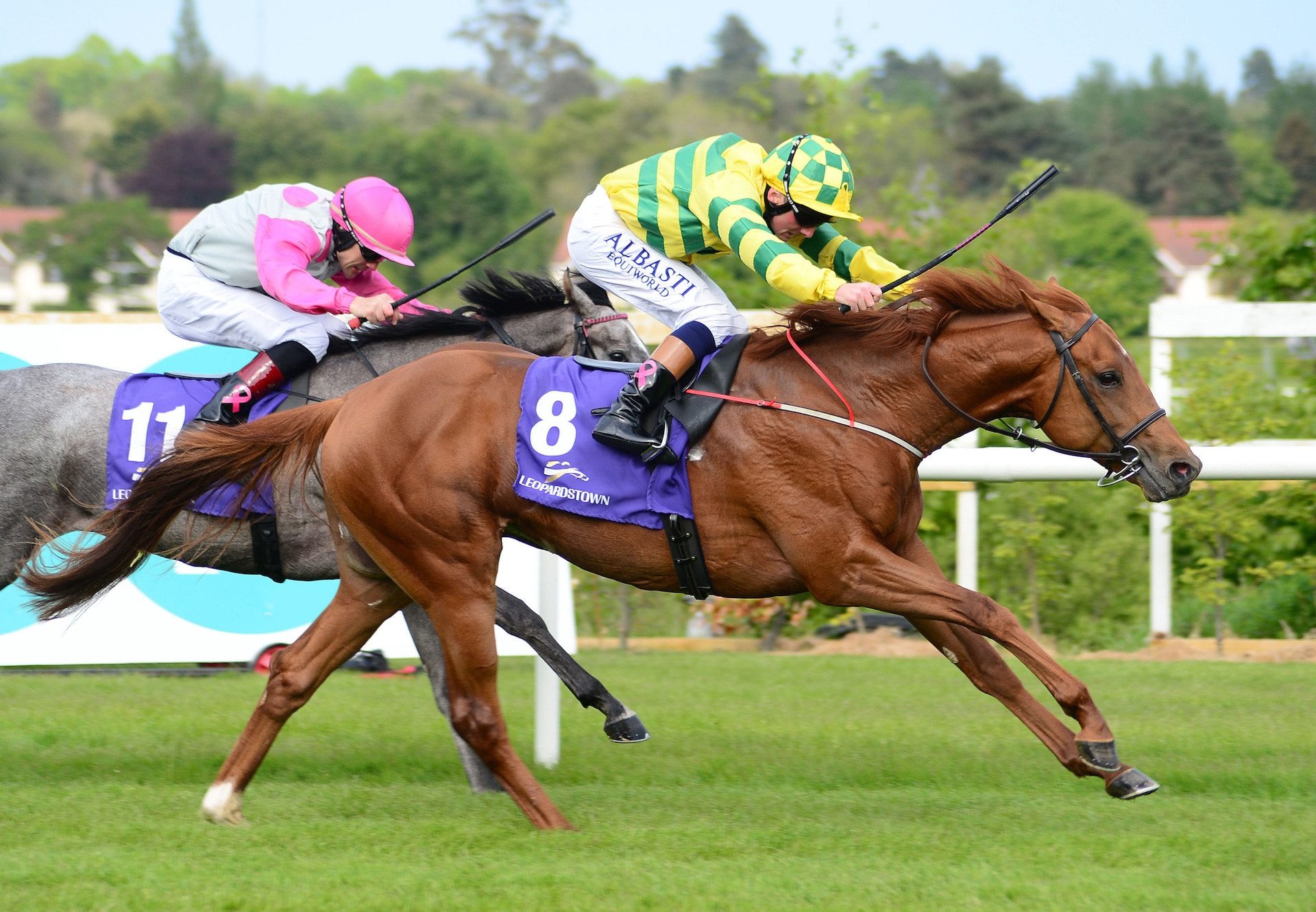 Mohican Heights Becomes The Latest Winner By Australia