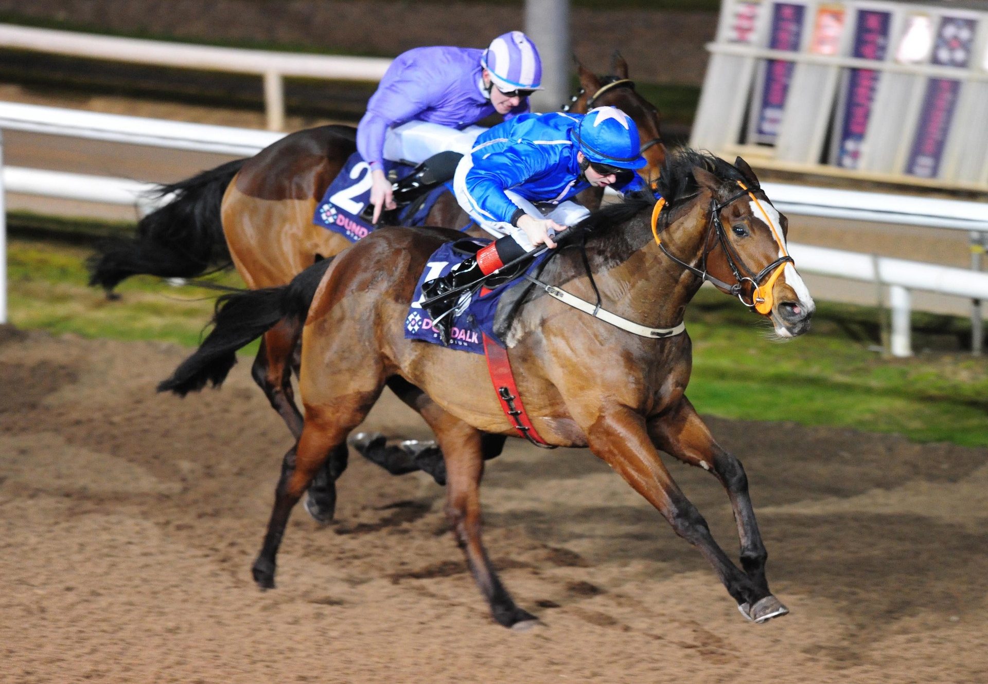 Moll (Camelot) Becomes The Latest Winner By Camelot
