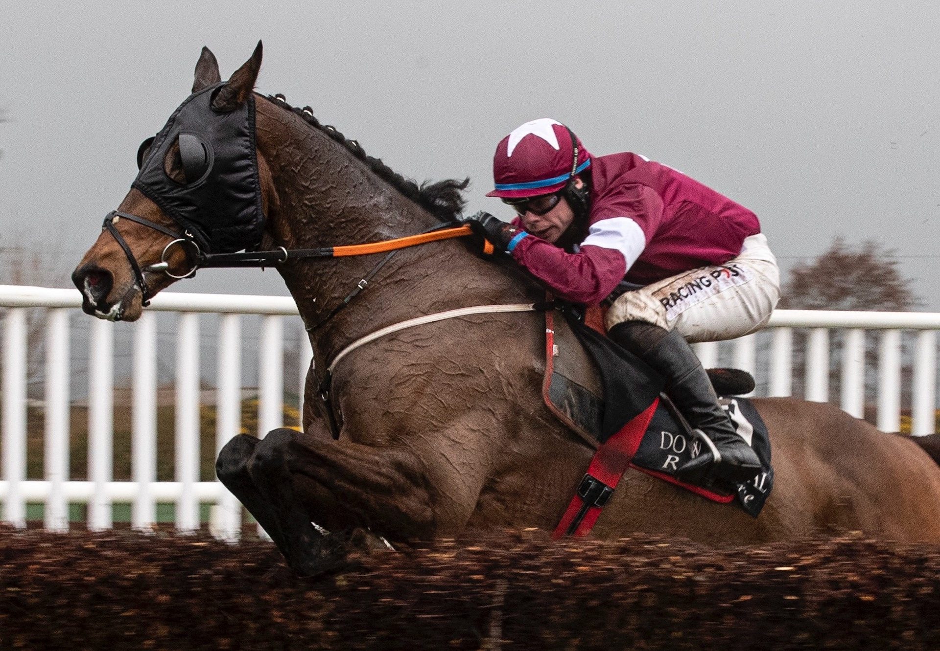 Monbeg Notorious (Milan) Wins Racing TV Chase at Down Royal