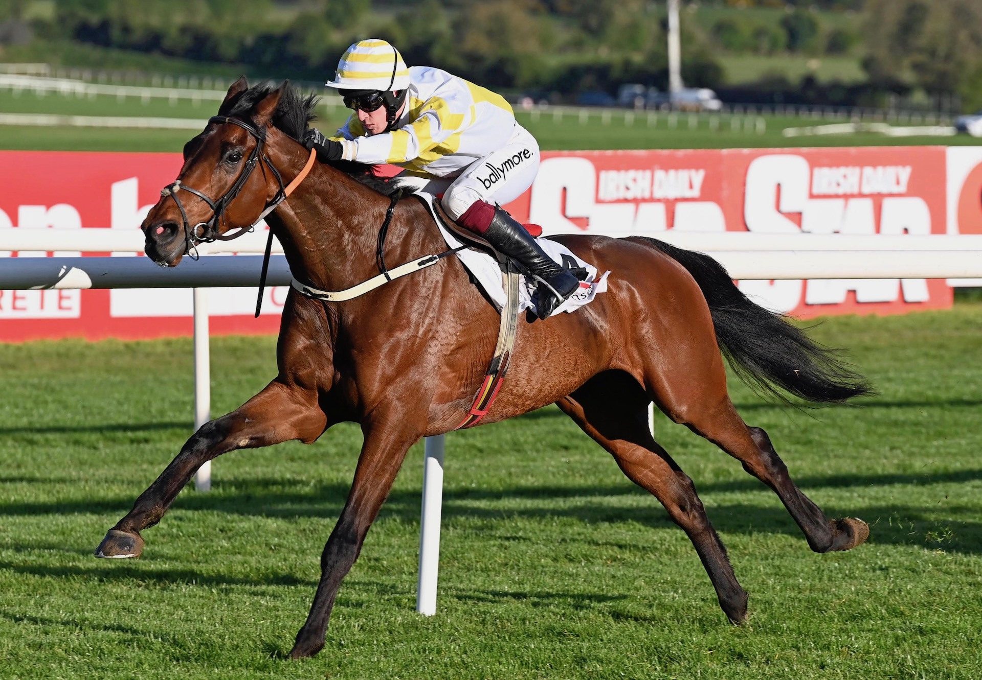 Monbeg Park (Walk In The Park) Wins The Novice Hurdle At Punchestown