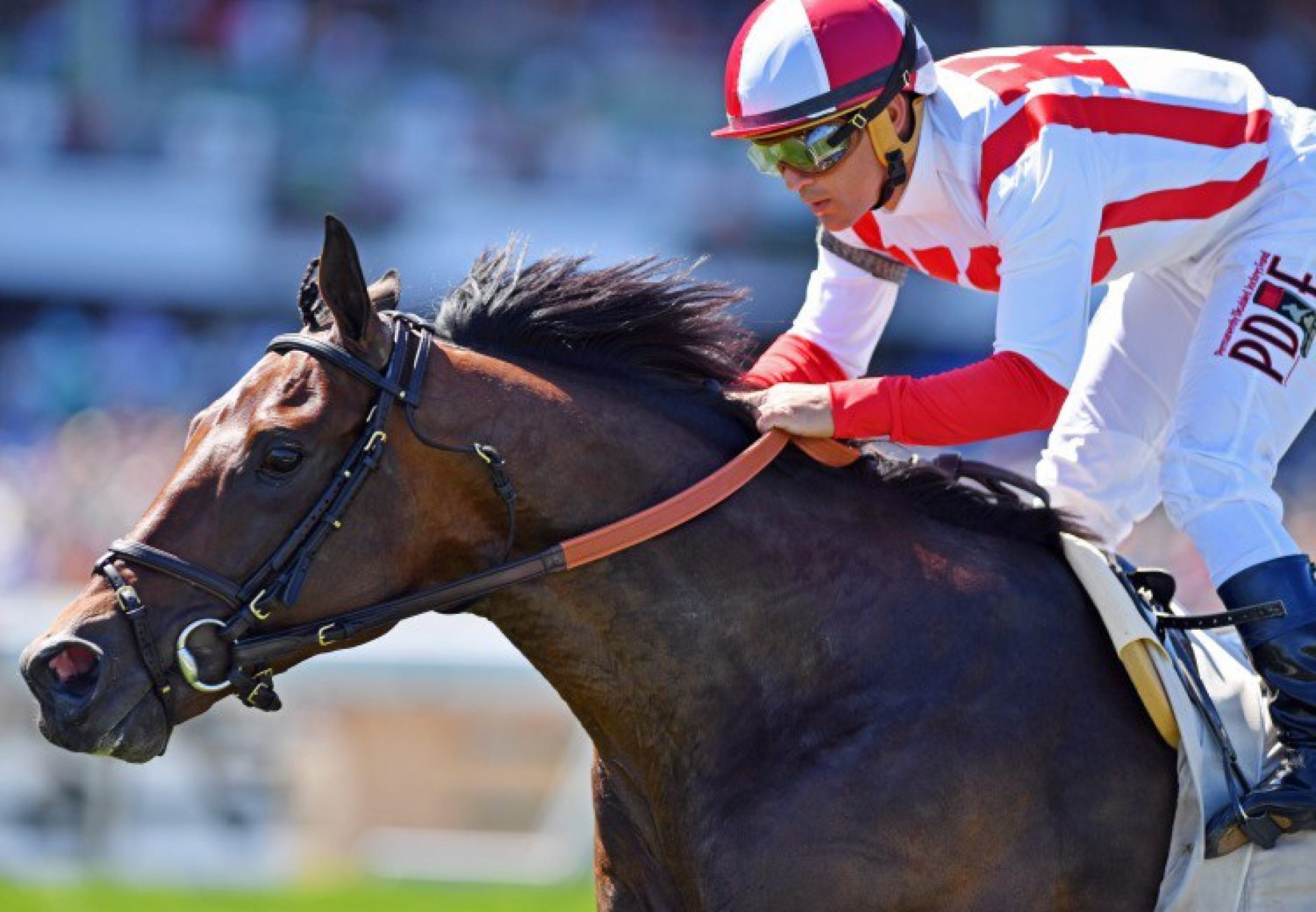 Money Multiplier G2 Monmouth Stakes Web