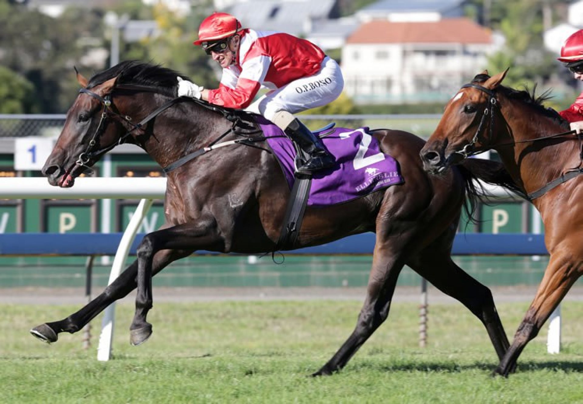 Mongolian Khan (Holy Roman Emperor) winning the G1 New Zealand Derby at Ellerslie