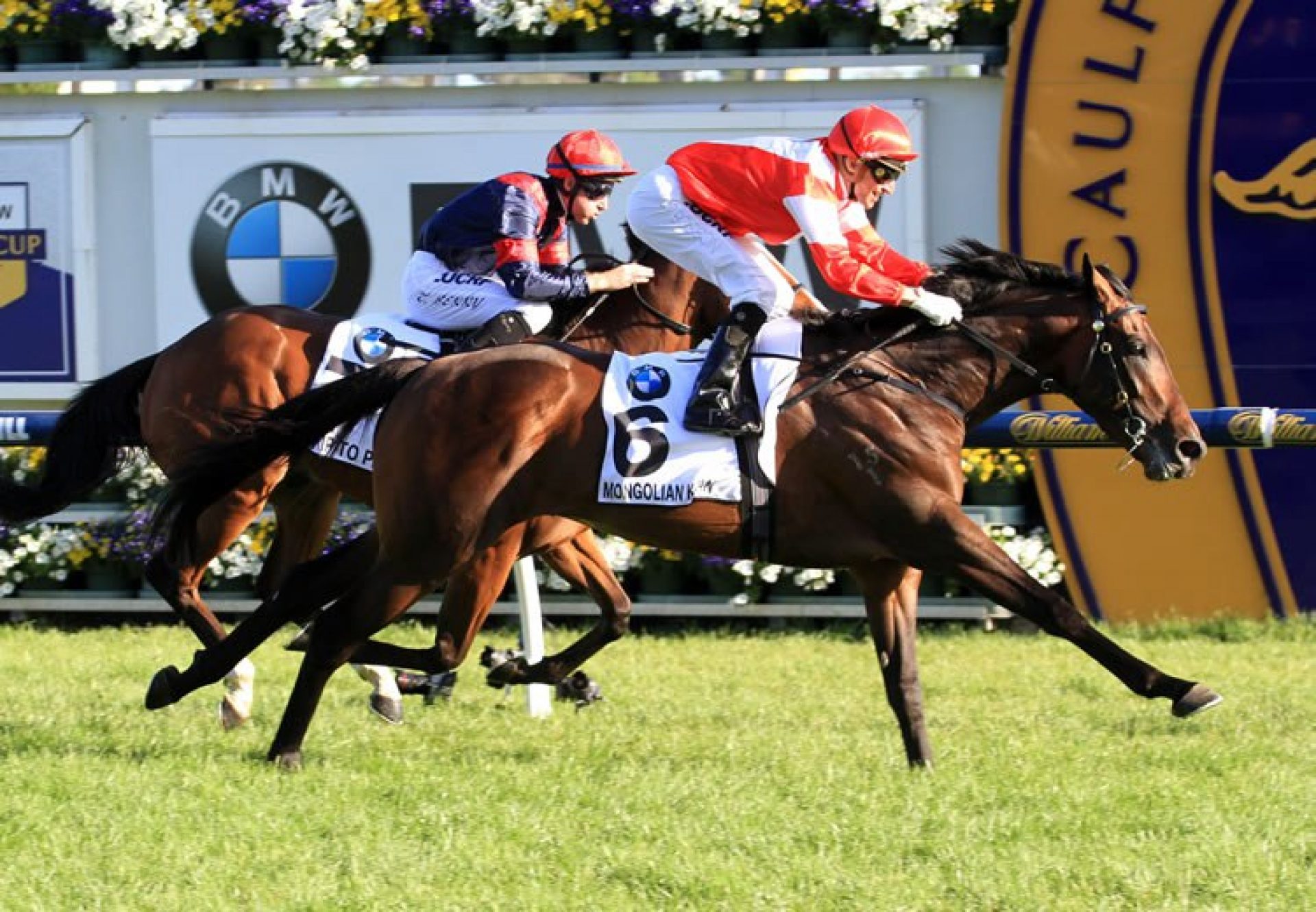 Mongolian Khan (Holy Roman Emperor) winning the G1 Caulfield Cup at Caulfield