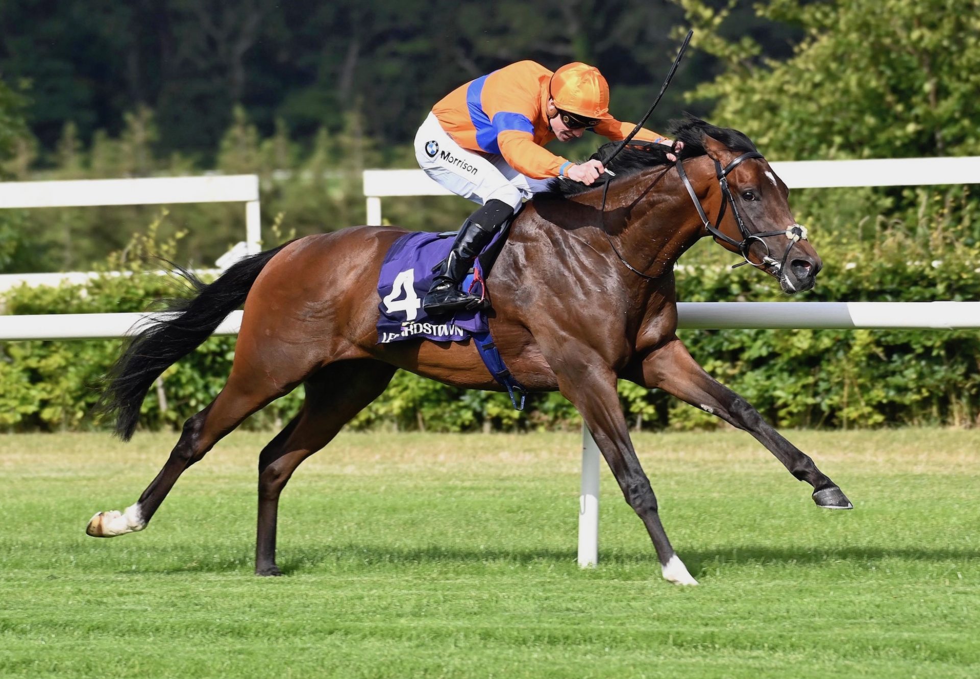 Montesilvano (Holy Roman Emperor) Wins His Maiden At Leopardstown