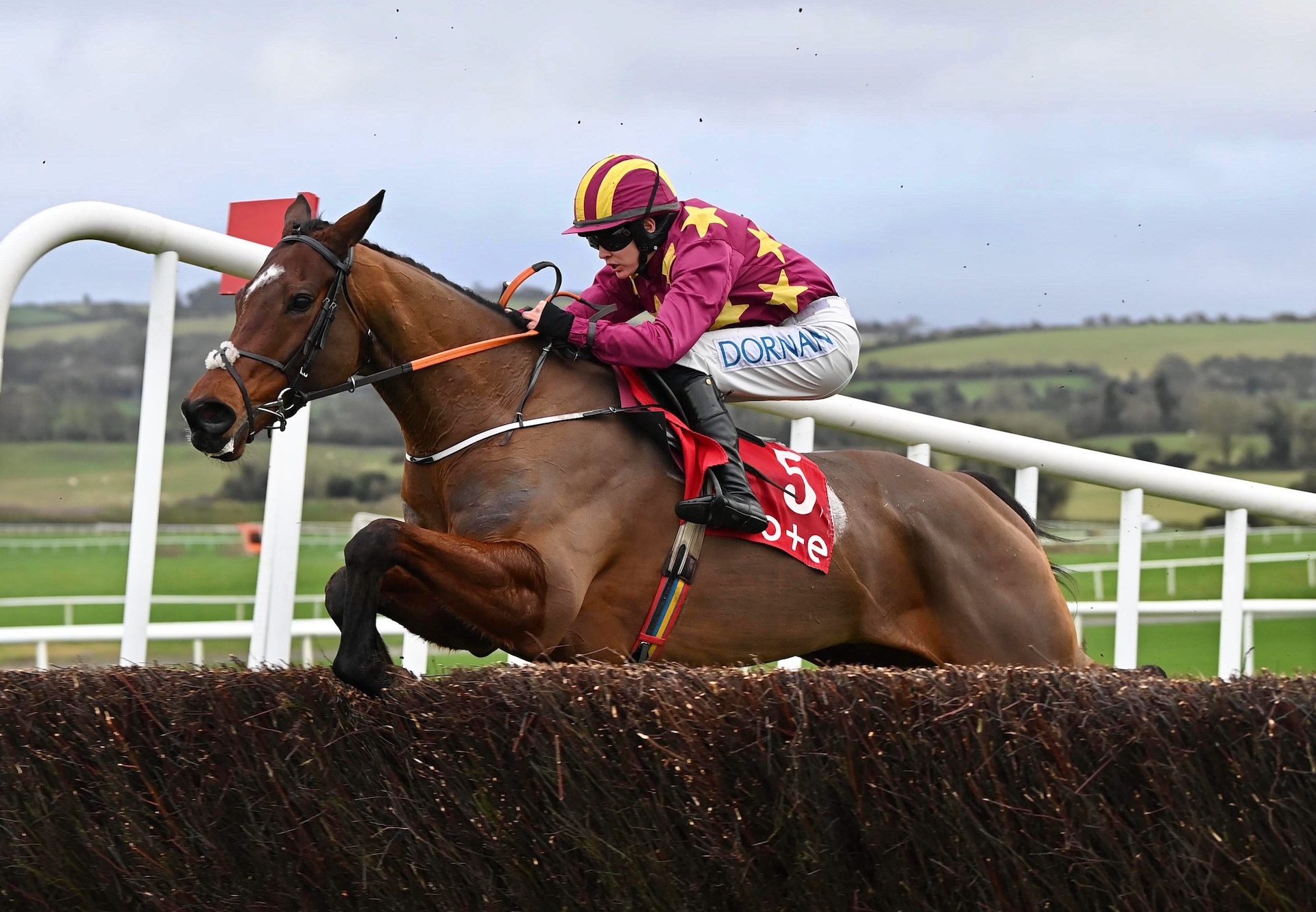 Monty's Star (Walk In The Park) Wins The Beginners Chase At Punchestown