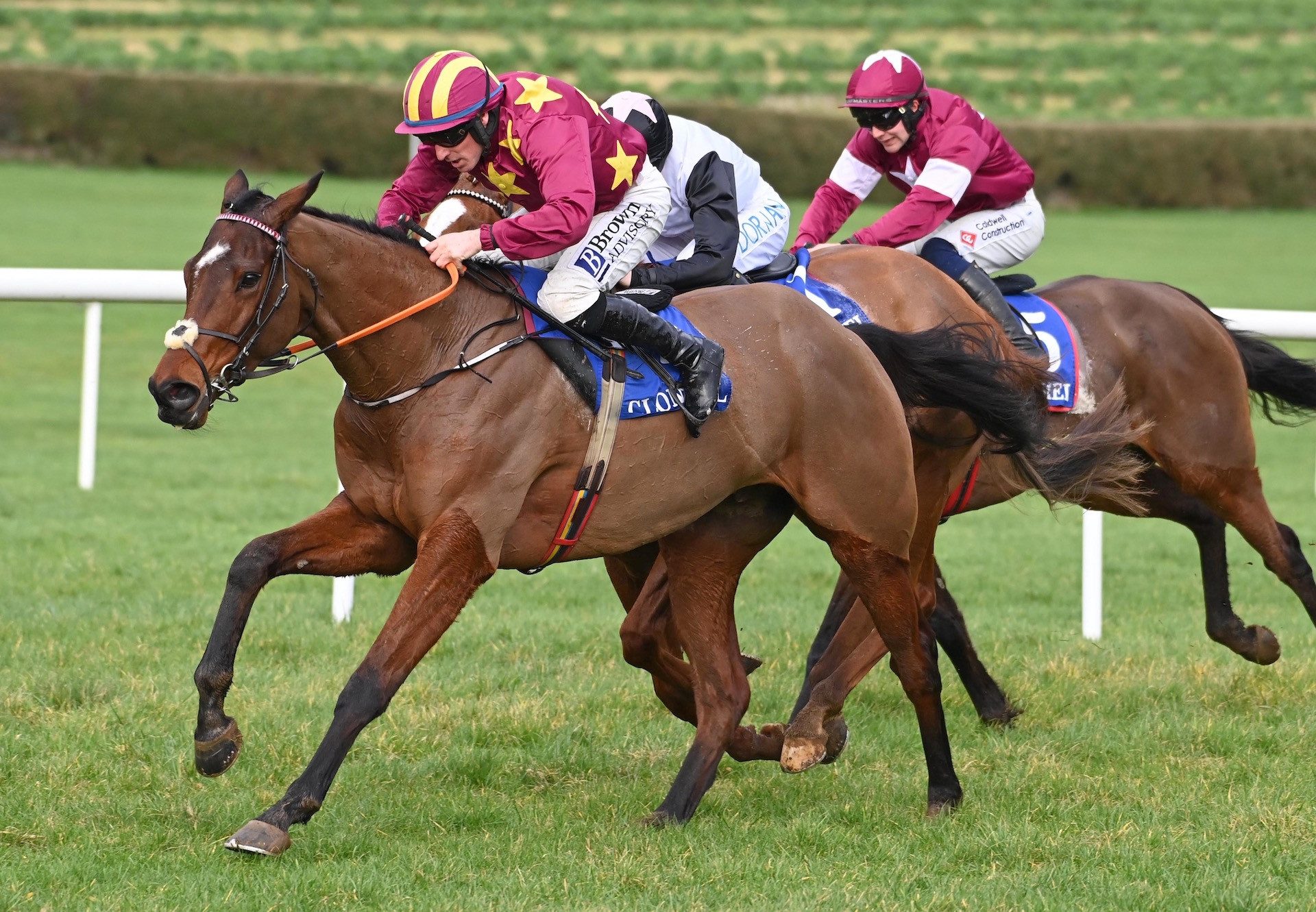 Monty's Star (Walk In The Park) Wins The Grade 3 Novice Hurdle At Clonmel