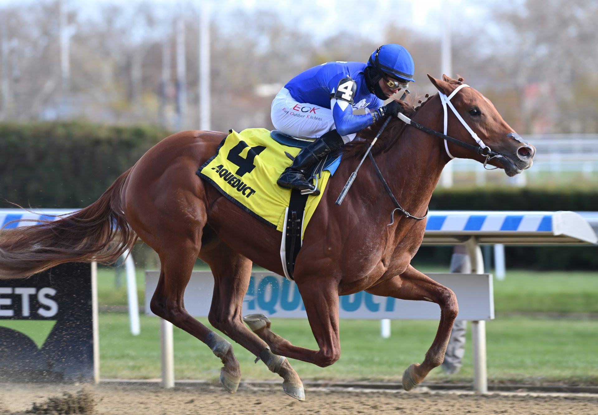 Morello (Classic Empire) winning an Aqueduct MSW