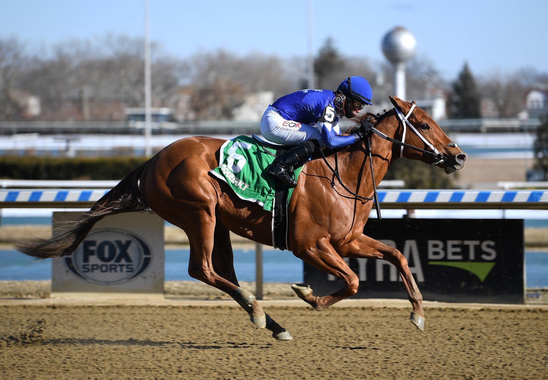 Morello (Classic Empire) winning the Jimmy Winkfield Stakes at Aqueduct