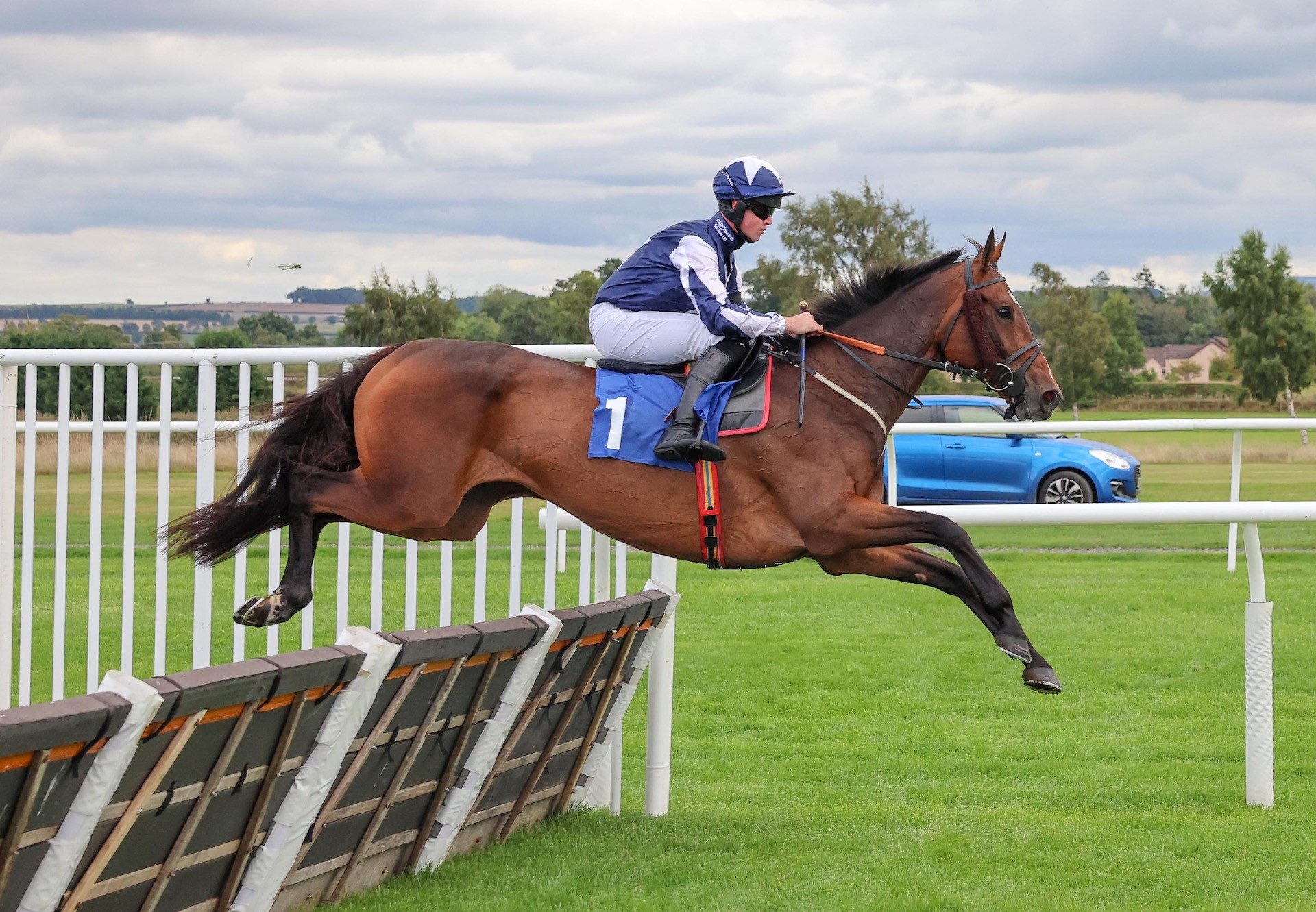 Mortlach (Yeats) Wins The Novices Hurdle At Kelso