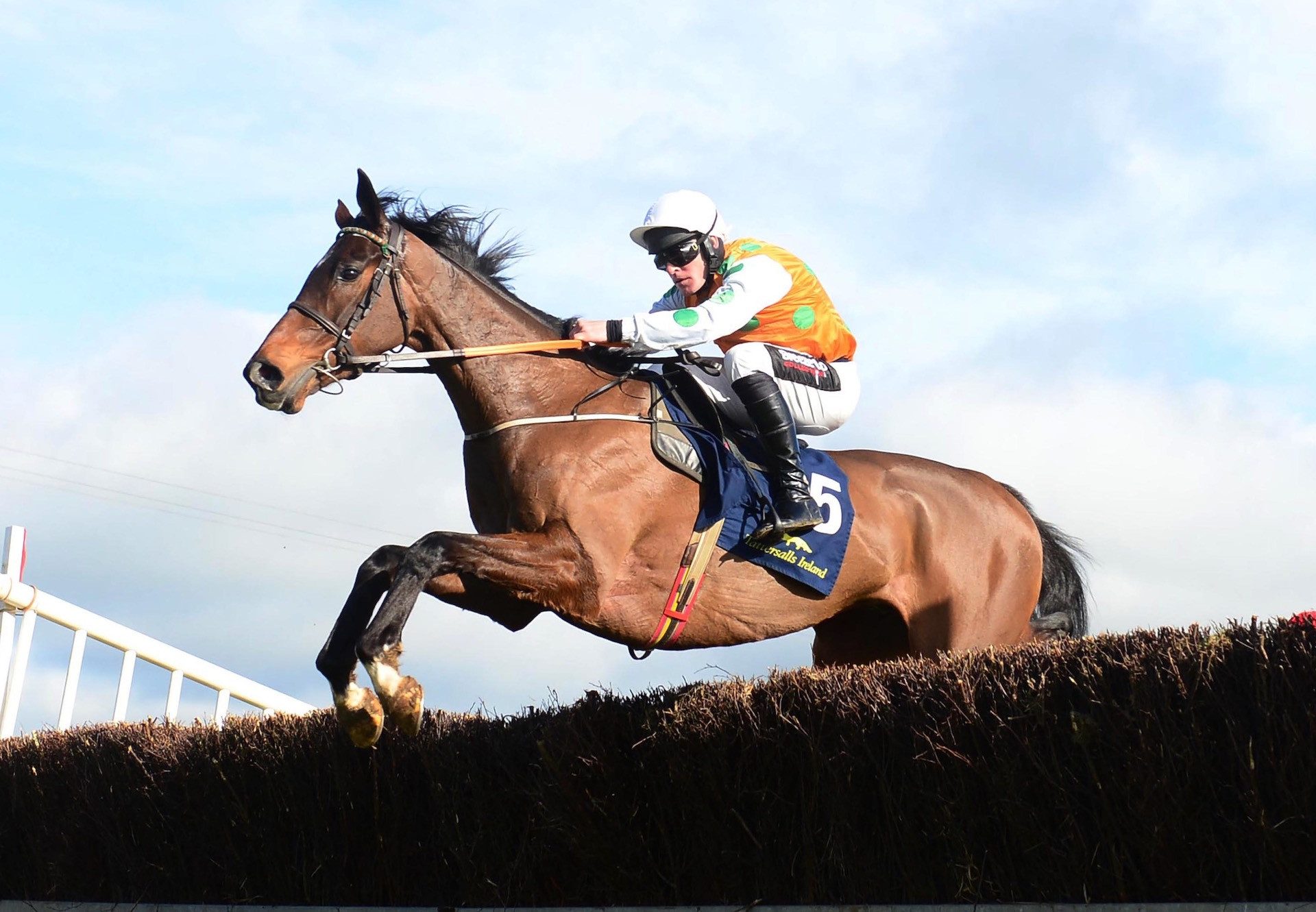 Mossy Fen Park (Walk In The Park) Wins The 4YO Maiden At Nenagh