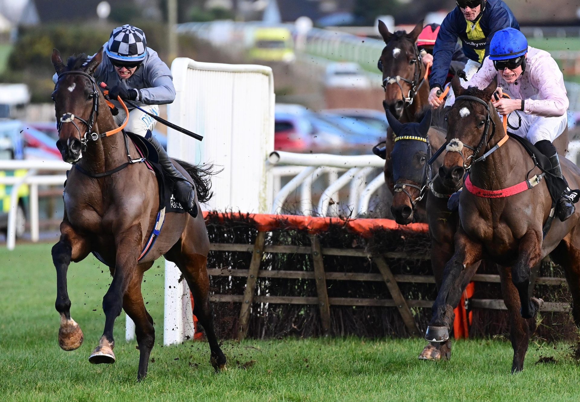 Mossy Fen Park (Walk In The Park) Wins The Maiden Hurdle At Down Royal