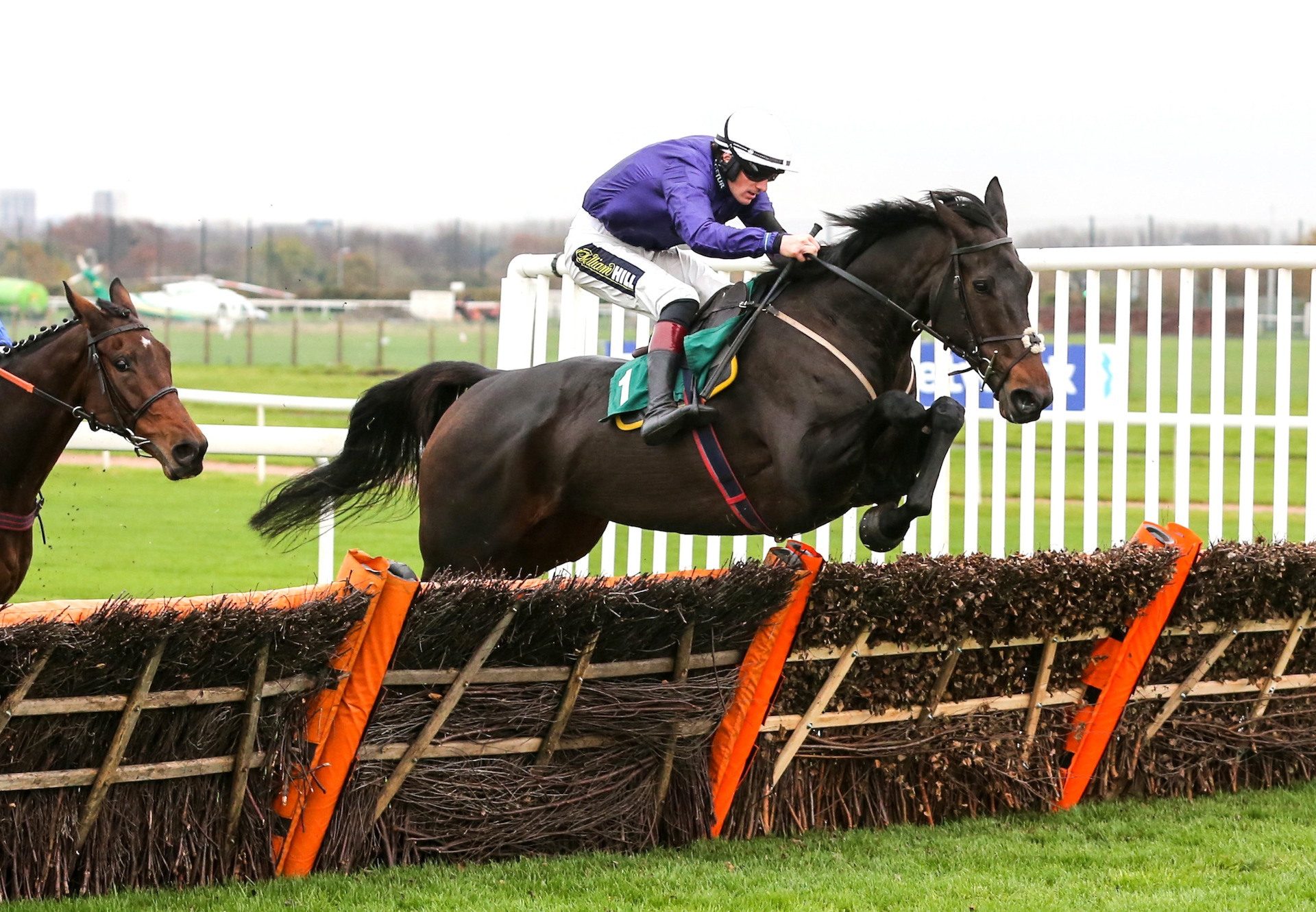 Mossy Fen (Milan) Wins At Aintree