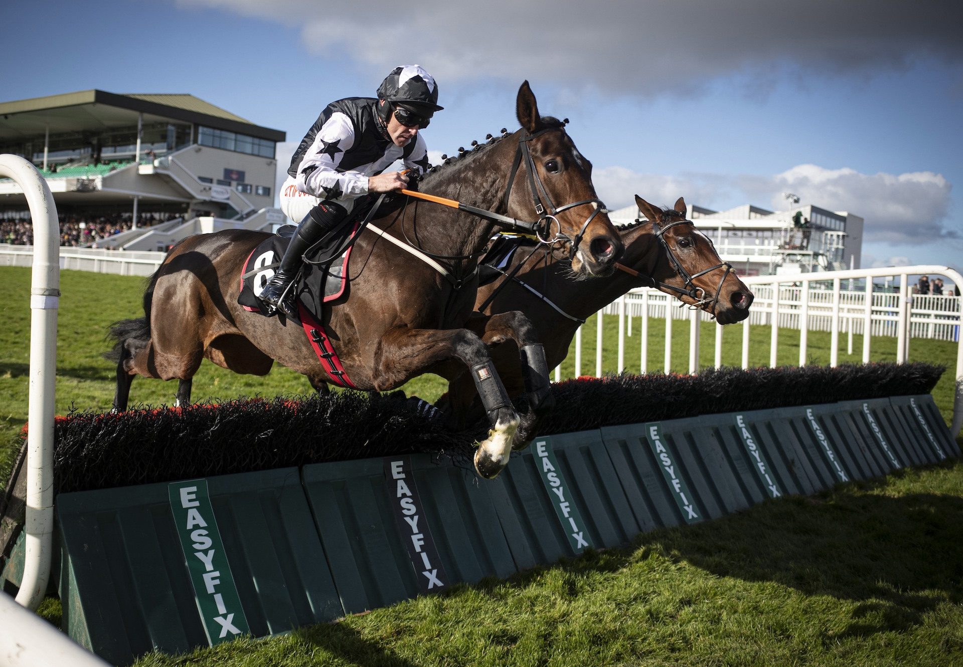 Mount Ida (Yeats) Wins At Galway