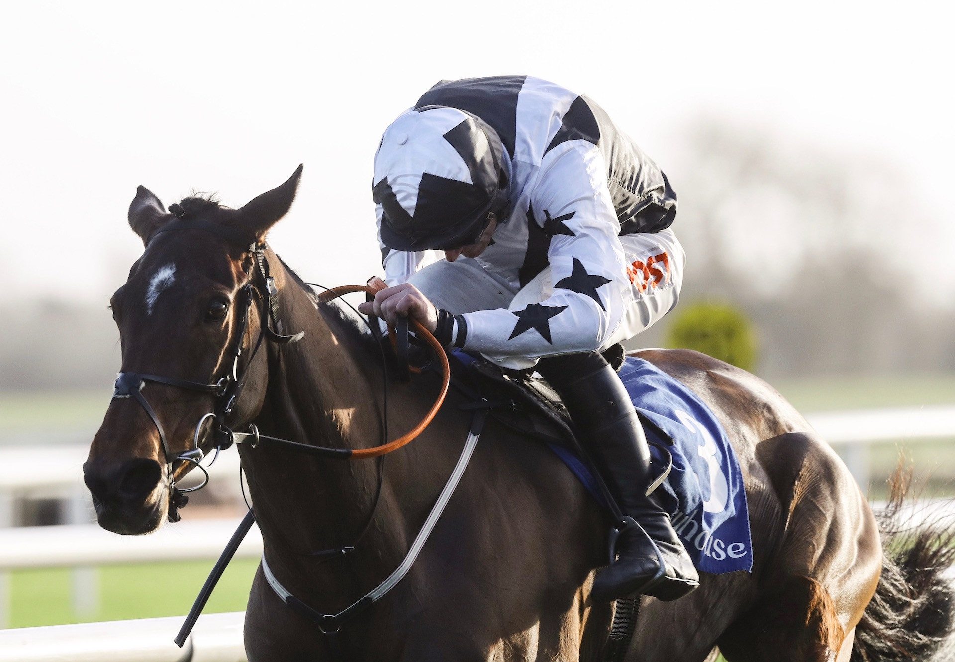 Mount Ida (Yeats) wins The Grade 3 Mares Chase At Fairyhouse