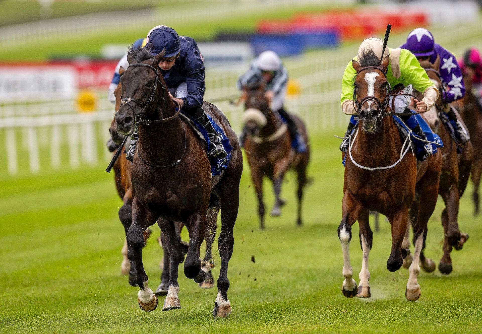 Mountain Bear (No Nay Never) Wins His Maiden At The Curragh