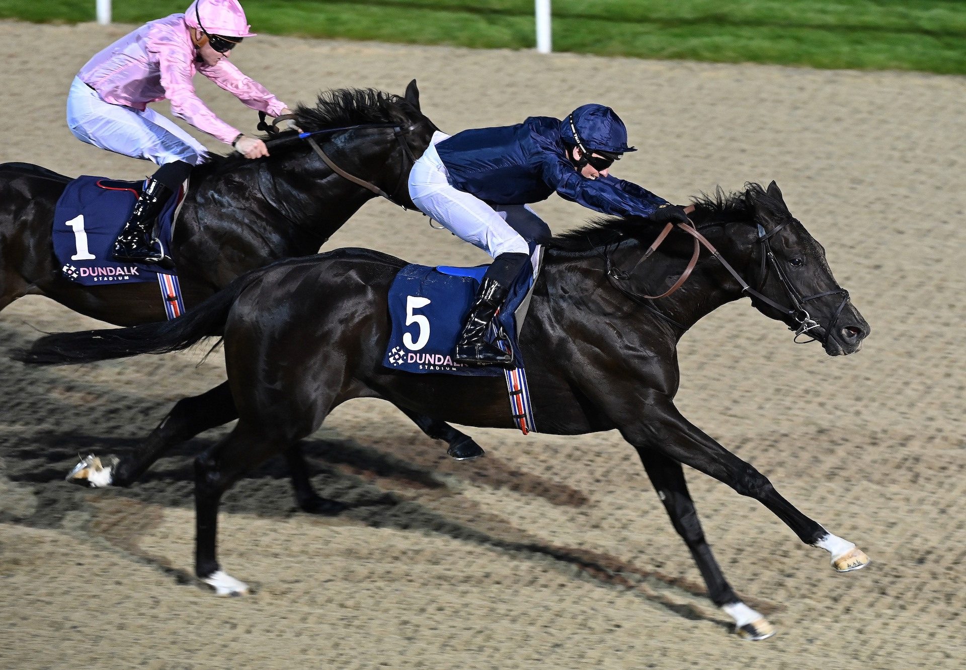 Mountain Bear (No Nay Never) Wins The Listed Star Appeal Stakes At Dundalk