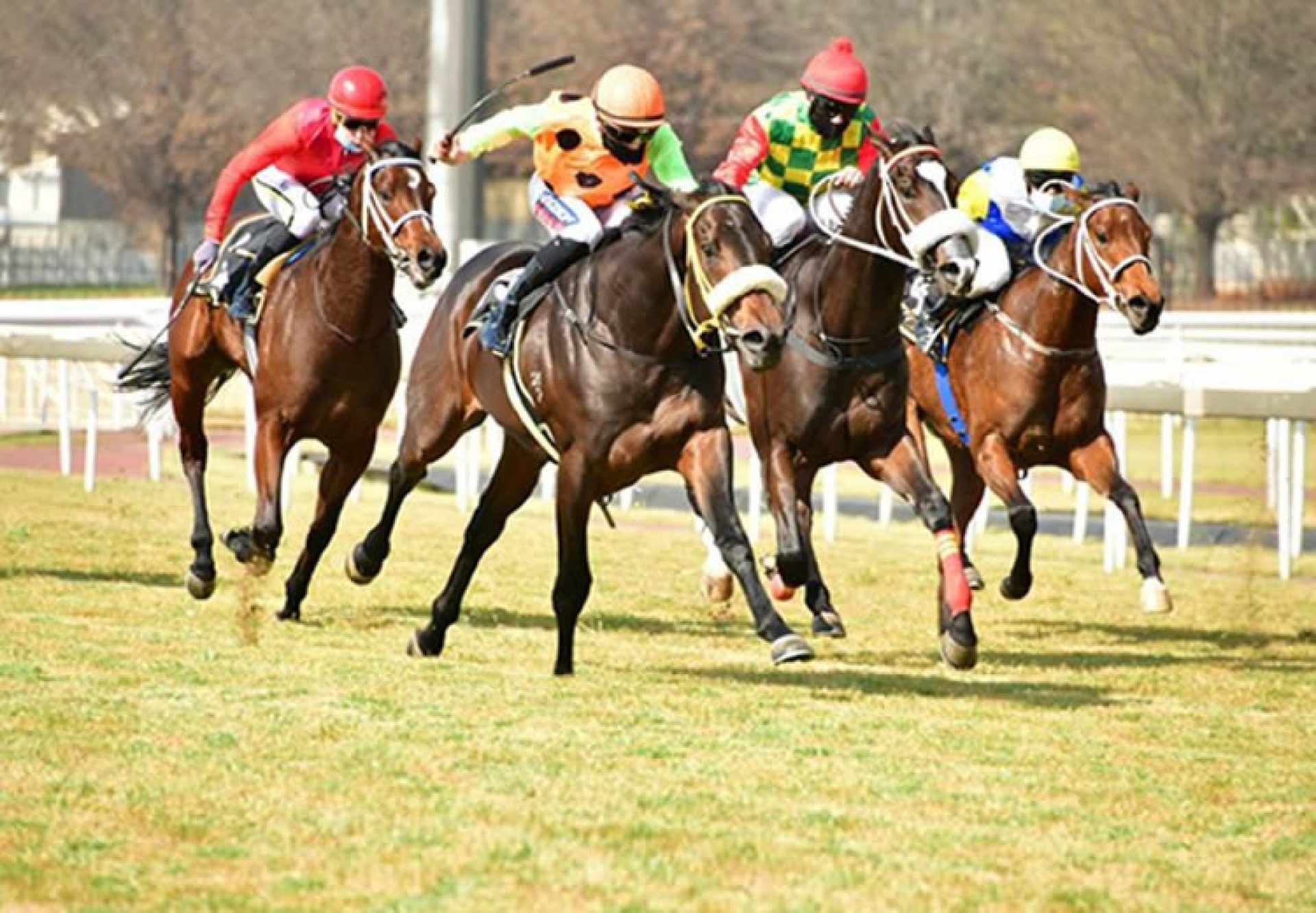 Mount Pleasant (Vancouver) winning a juvenile plate in South Africa