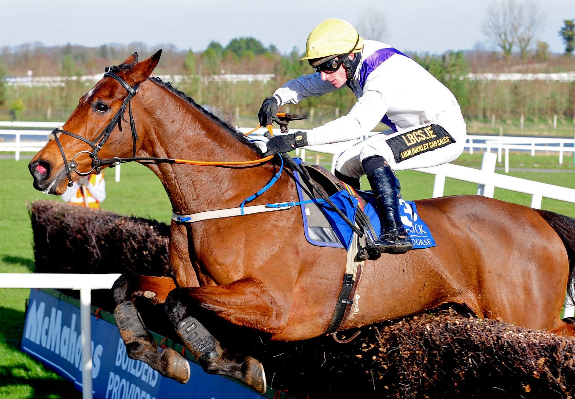 Moyhenna (Westerner) winning the Gr.2 Charleville Mares Novice Chase at Limerick