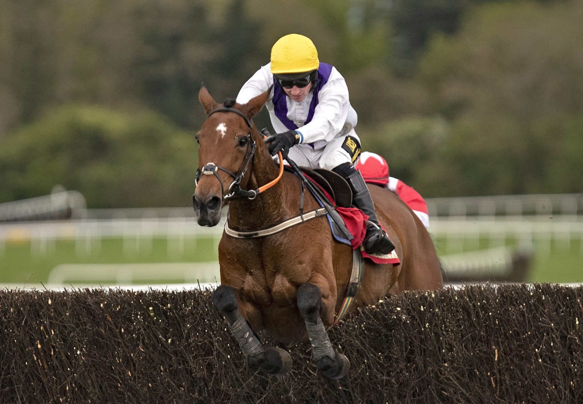 Moyhenna (Westerner) Wins At Punchestown