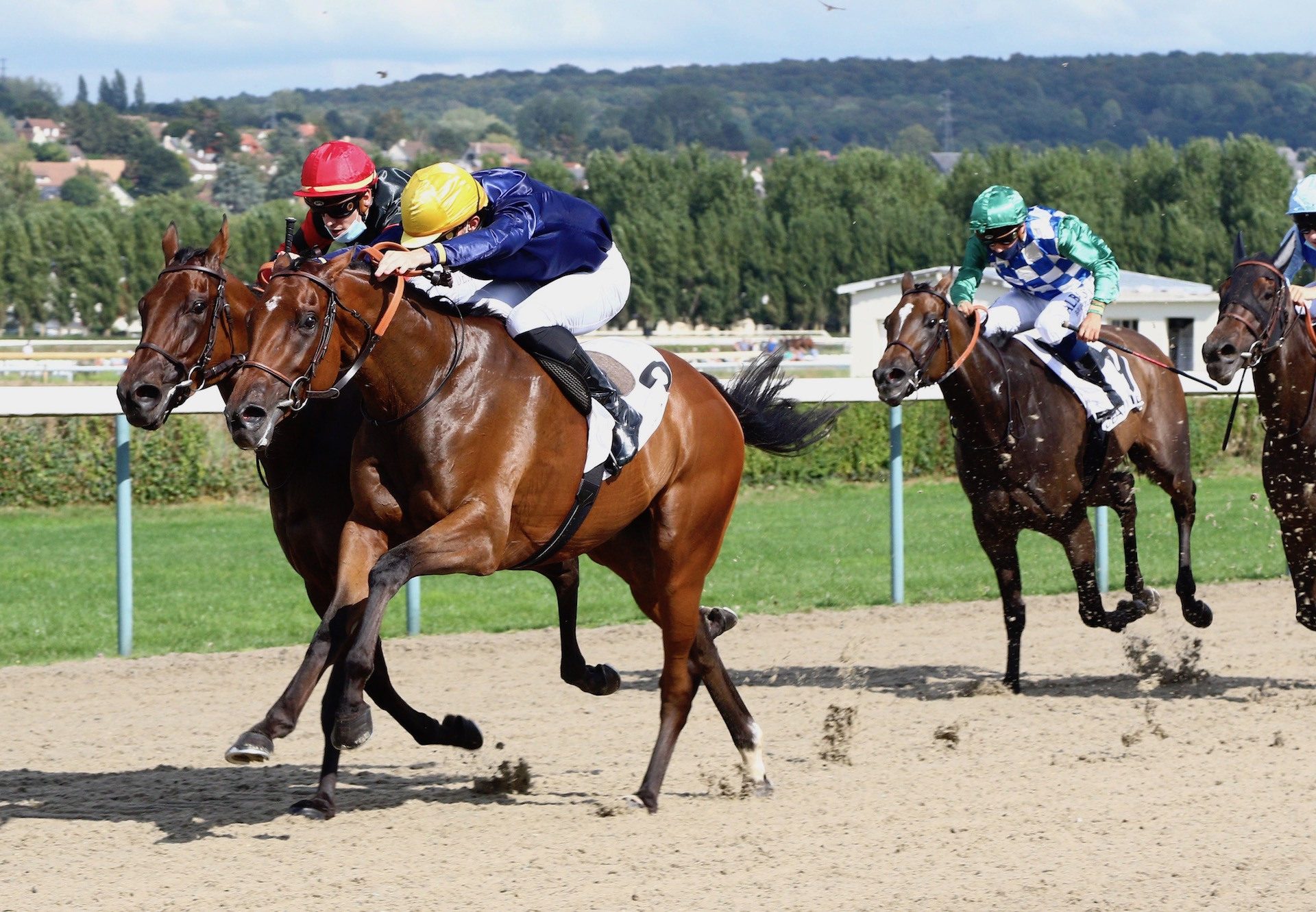 Mr De Pourceaugnac (Camelot) Wins At Deauville