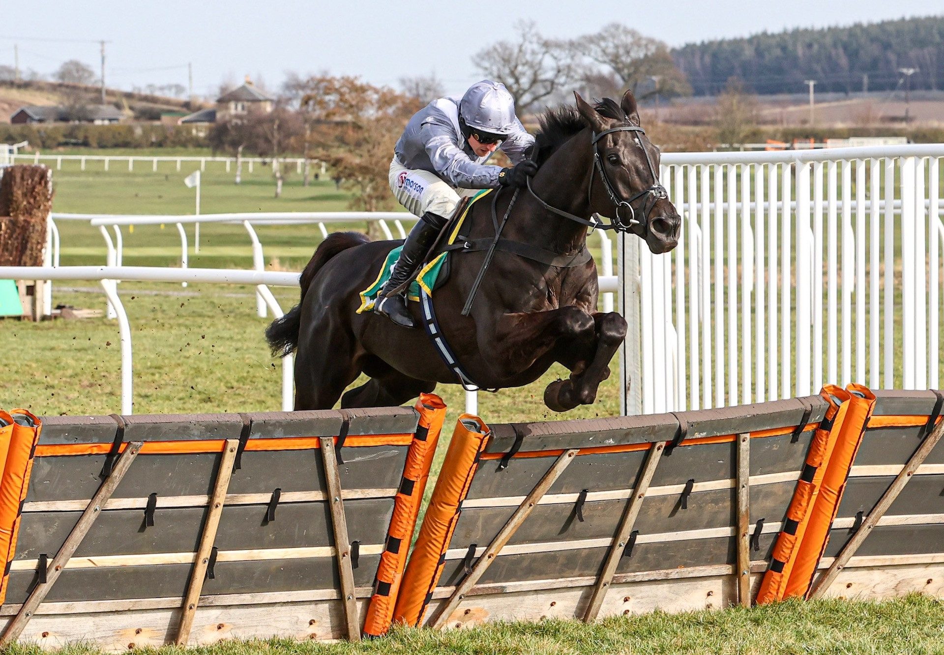 Mr Drogo (Milan) Wins The Grade 2 Bet365 Premier Novices Hurdle at Kelso