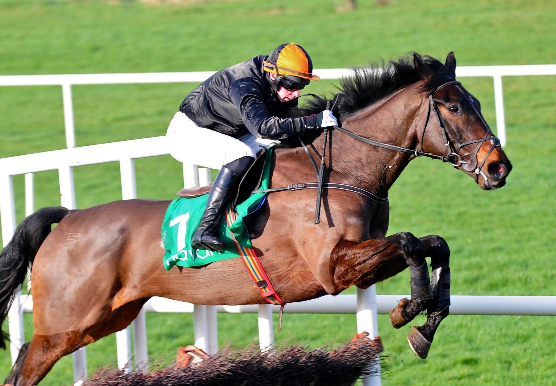 Mr Hendricks (Milan) Wins The Maiden Hurdle At Navan