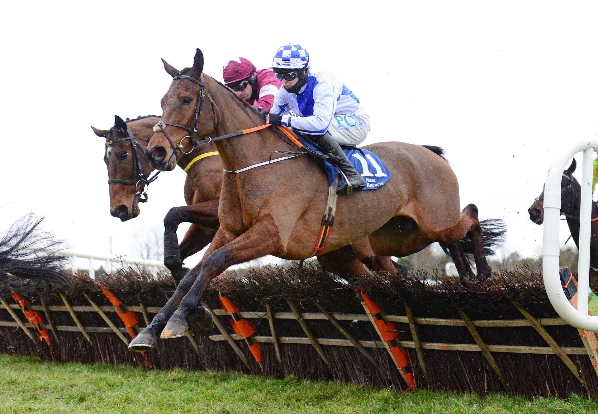 Mr Incredible (Westerner) Wins The Maiden Hurdle At Naas