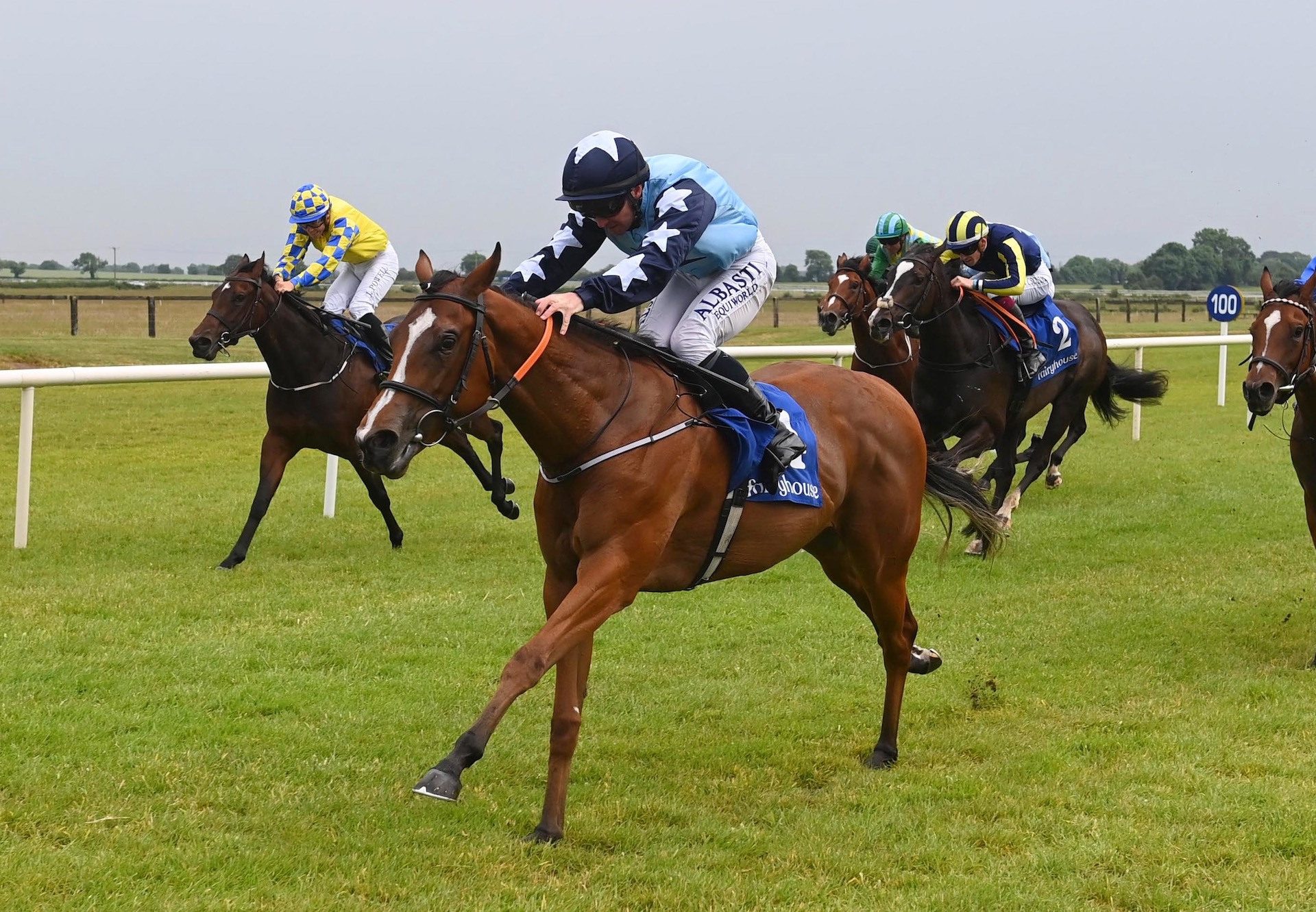 Ms Brightside (Magna Grecia) Wins On Debut at Fairyhouse
