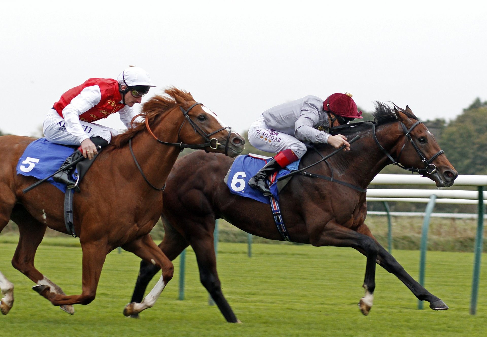 Msayyan Camelot Winning At Nottingham