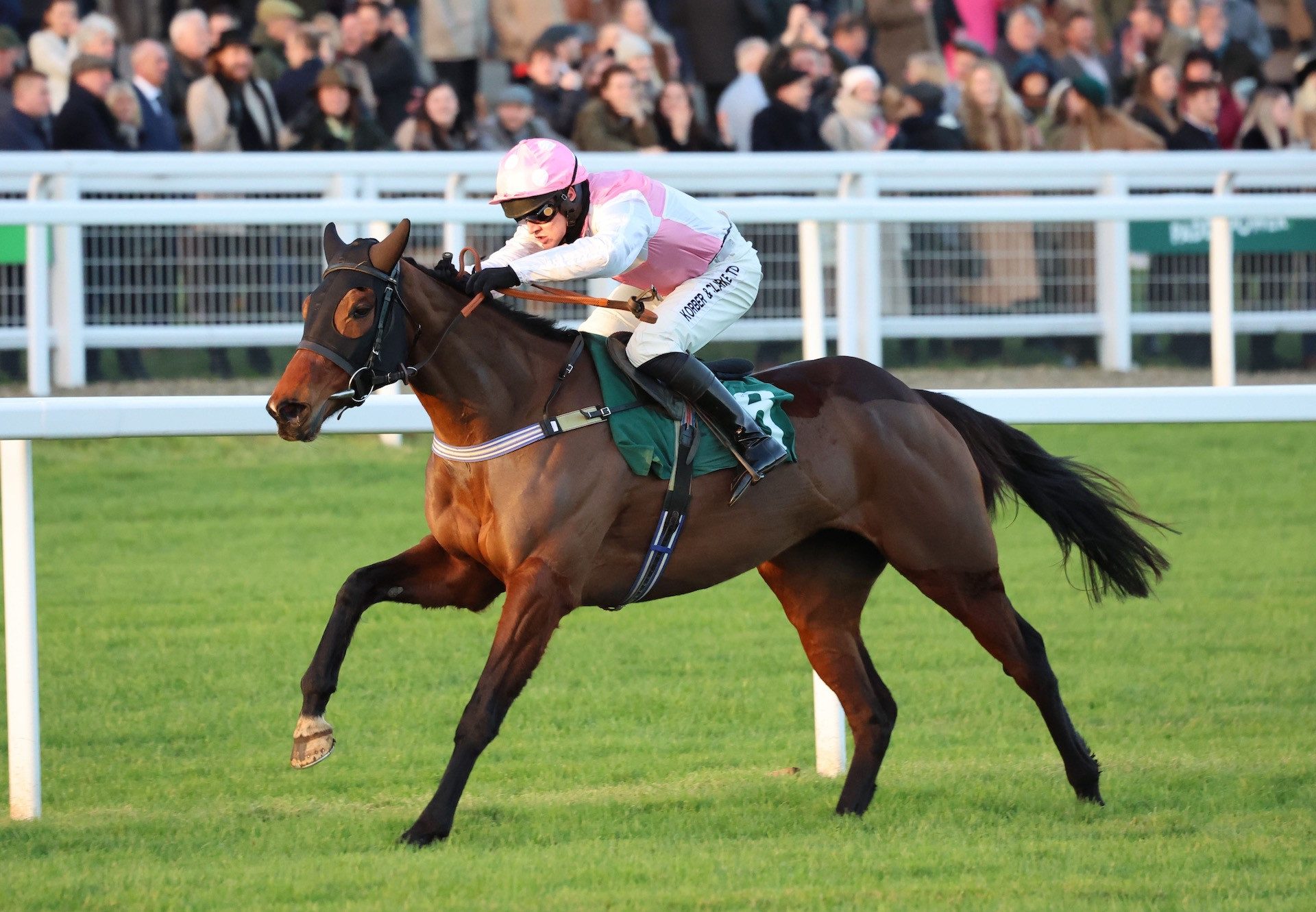 Mullenbeg (Walk In The Park) Wins The Listed Mares Bumper At Cheltenham