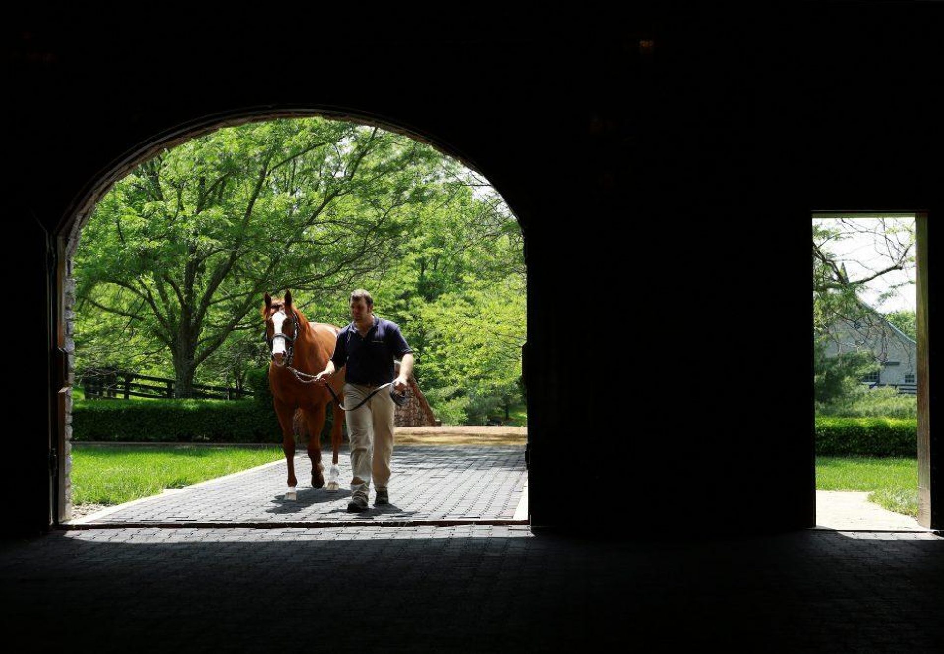 Munnings Walking