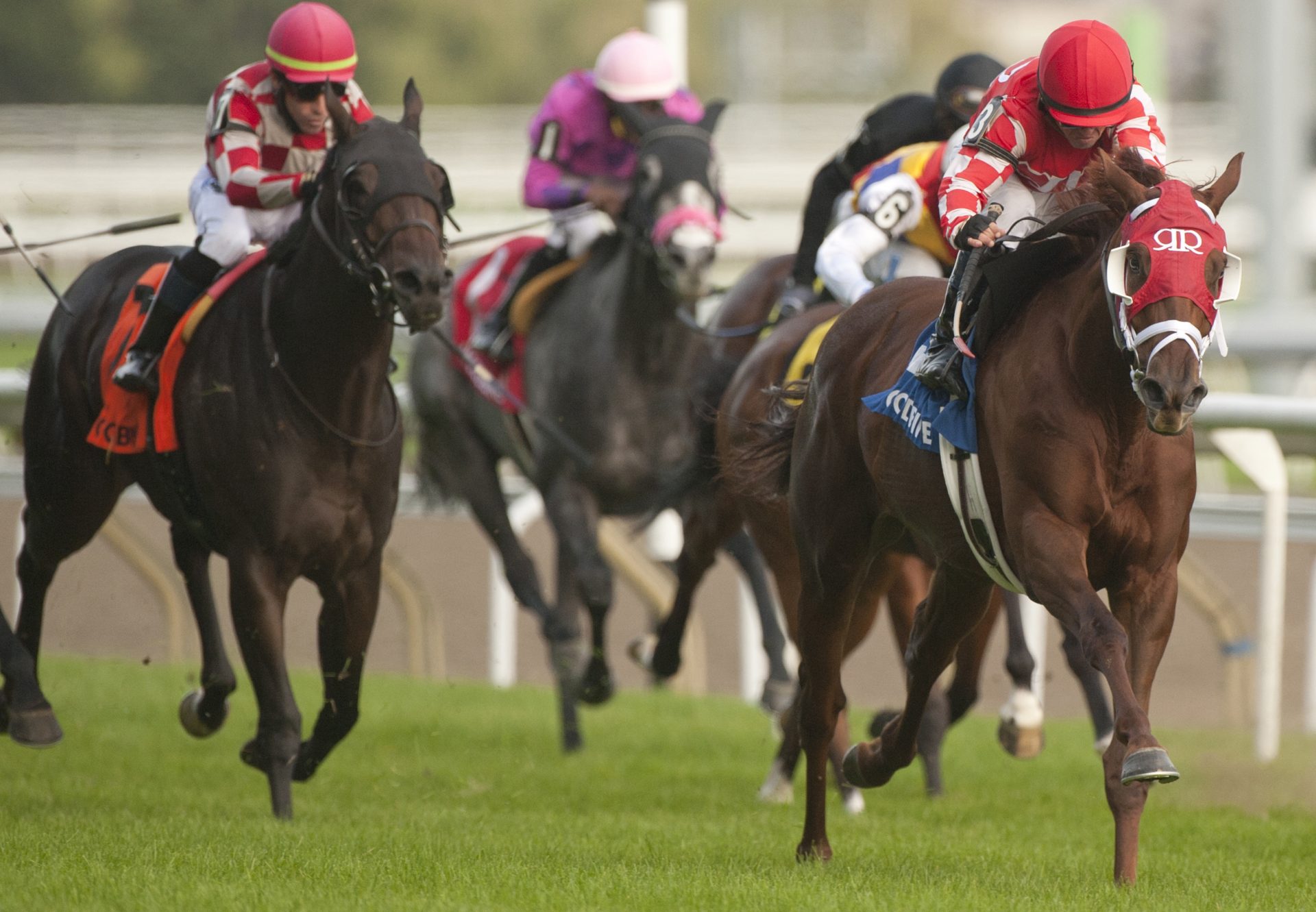 Munnyfor Ro (Munnings) wins the Wonder Where Stakes at Woodbine