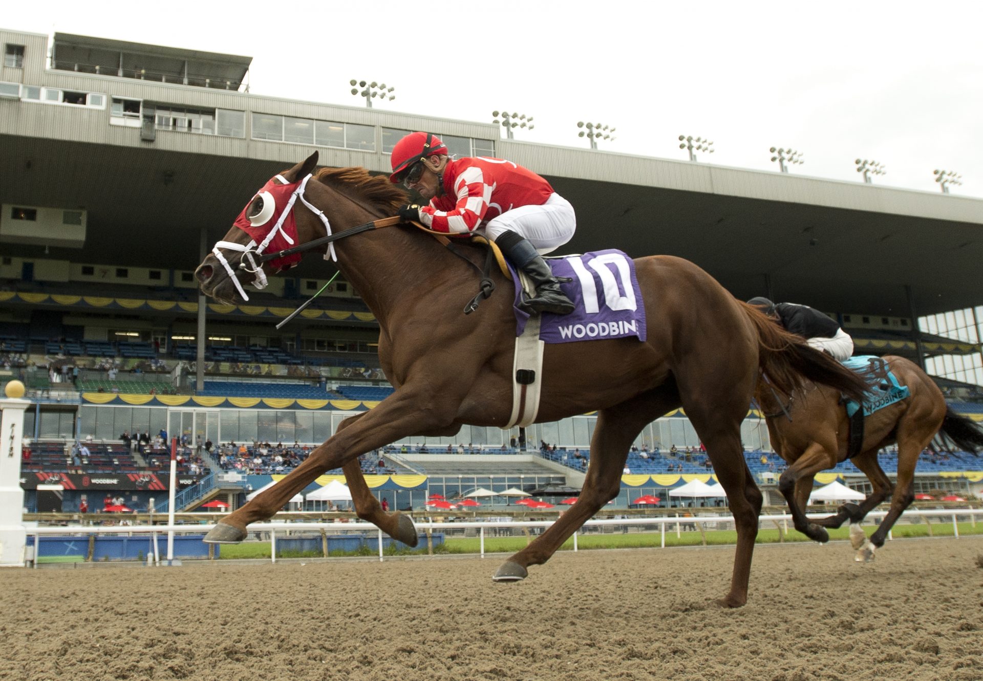 Munnyfor Ro (Munnings) winning the Woodbine Oaks