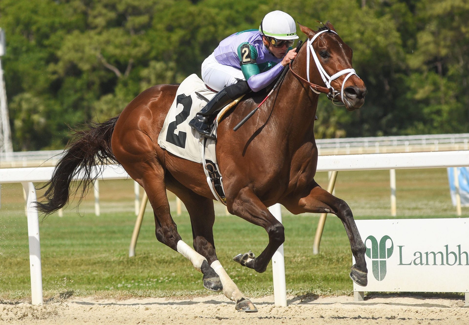 Munnys Gold (Munnings) Wins Sophomore Fillies Stakes at Tampa Bay Downs