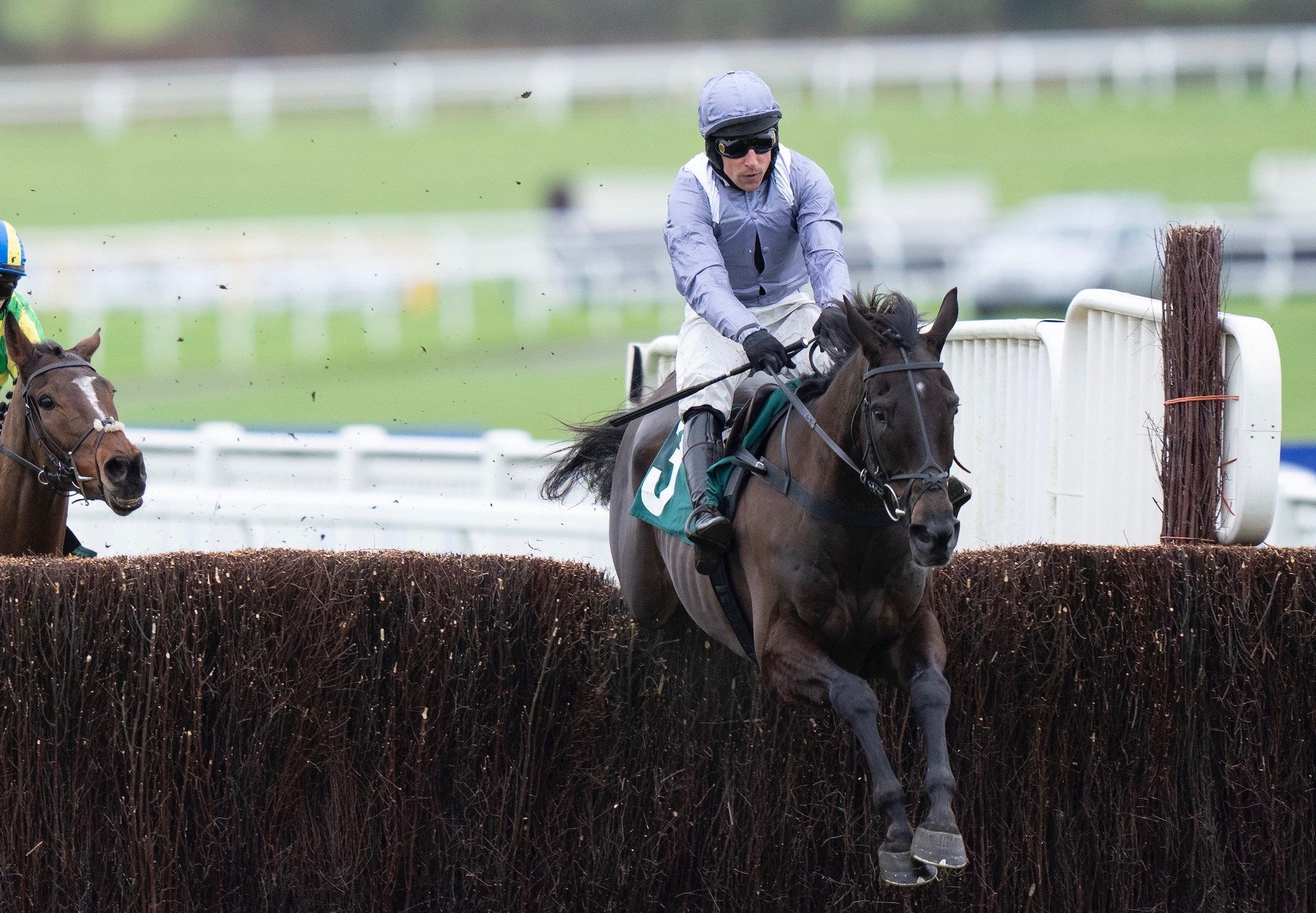 My Drogo (Milan) Wins The Novices Chase At Cheltenham