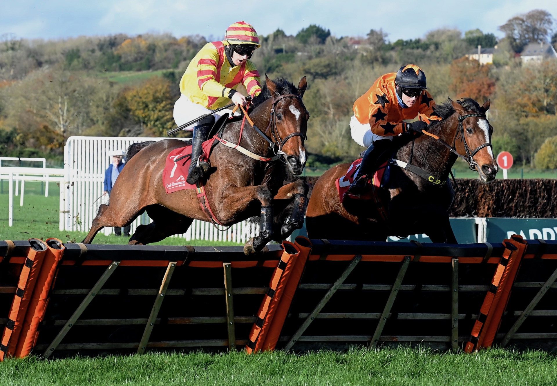 Mythical Hero (Soldier Of Fortune) Wins The Maiden Hurdle At Cork