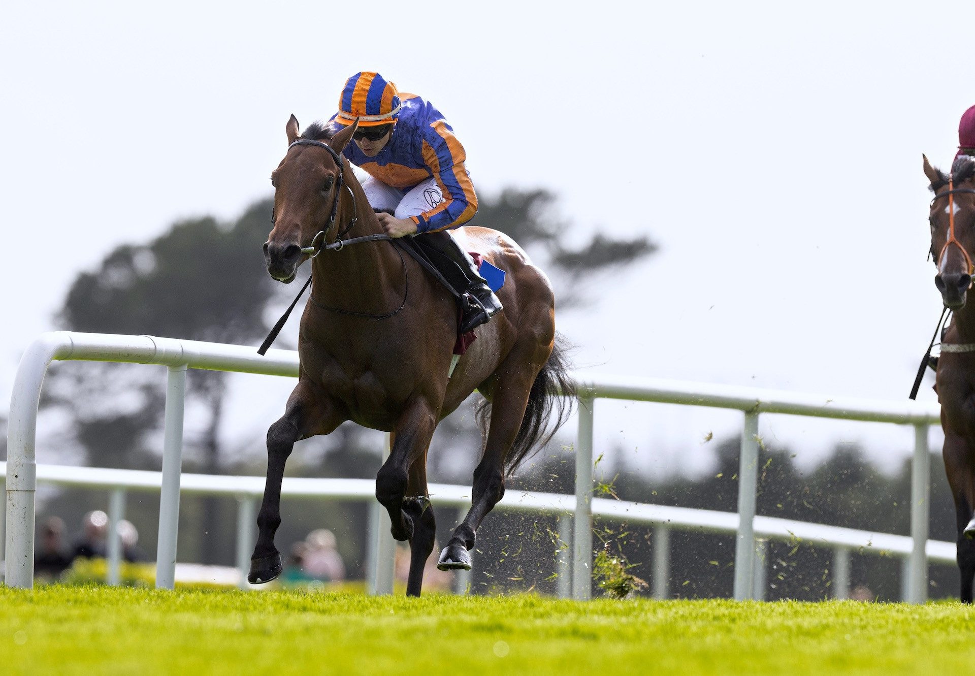 Mythology (Starspangledbanner) Wins His Maiden At Galway