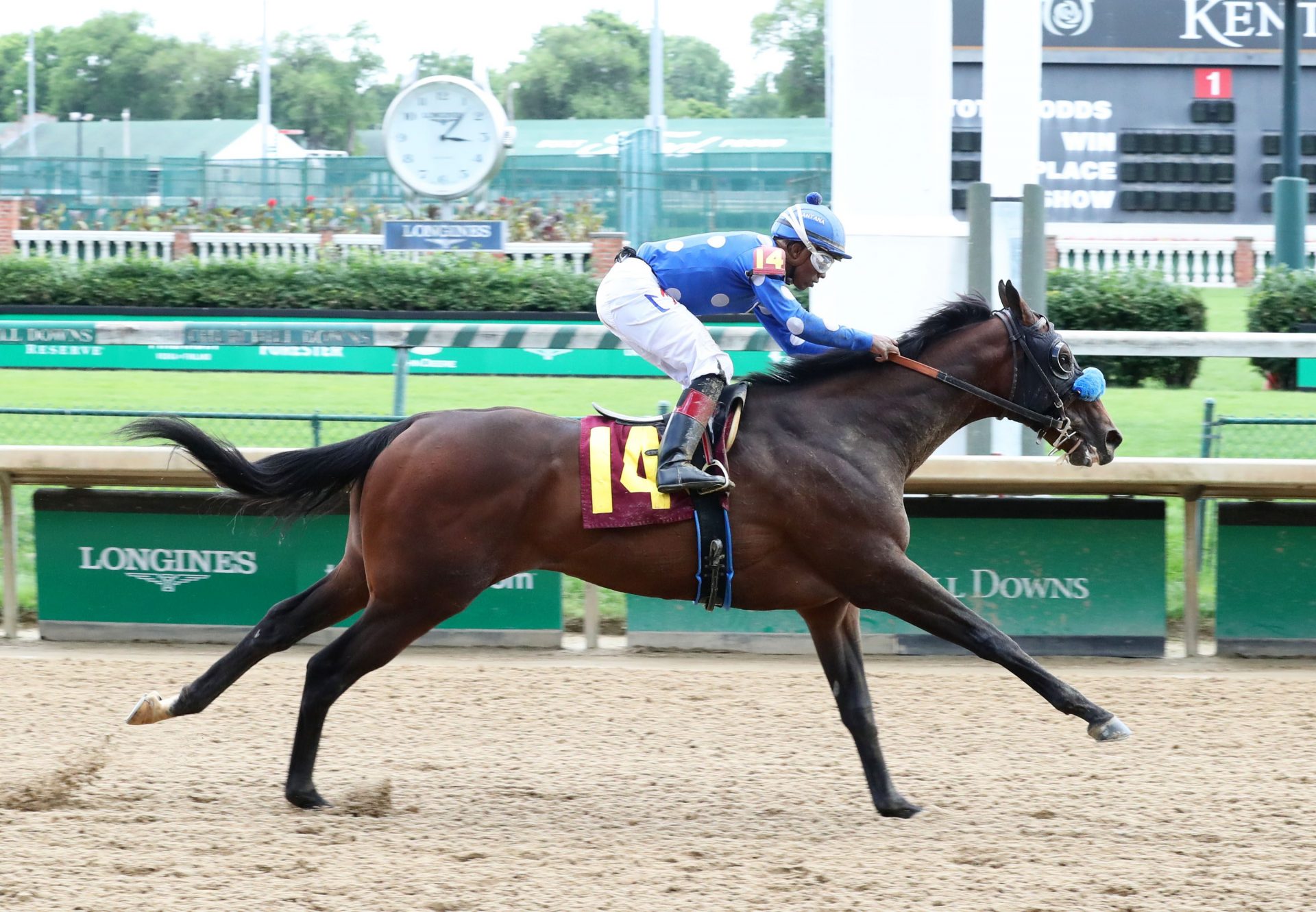Natural History (Competitive Edge) winning a Churchill Maiden