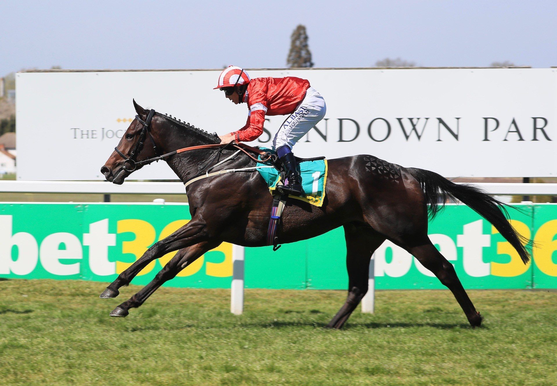 Naamoos (Wootton Bassett) Wins The Esher Cup At Sandown