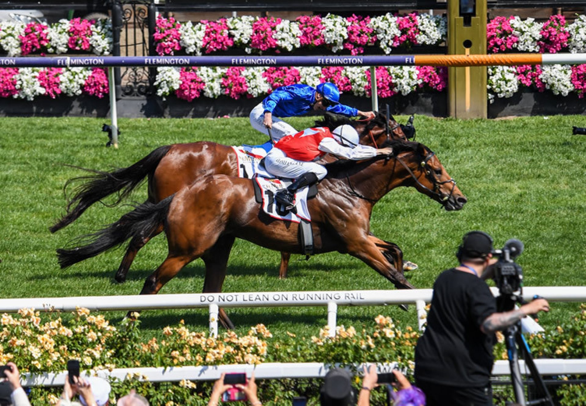 Najem Suhail (Starspangledbanner) wins the Listed Mumm Stakes at Flemington