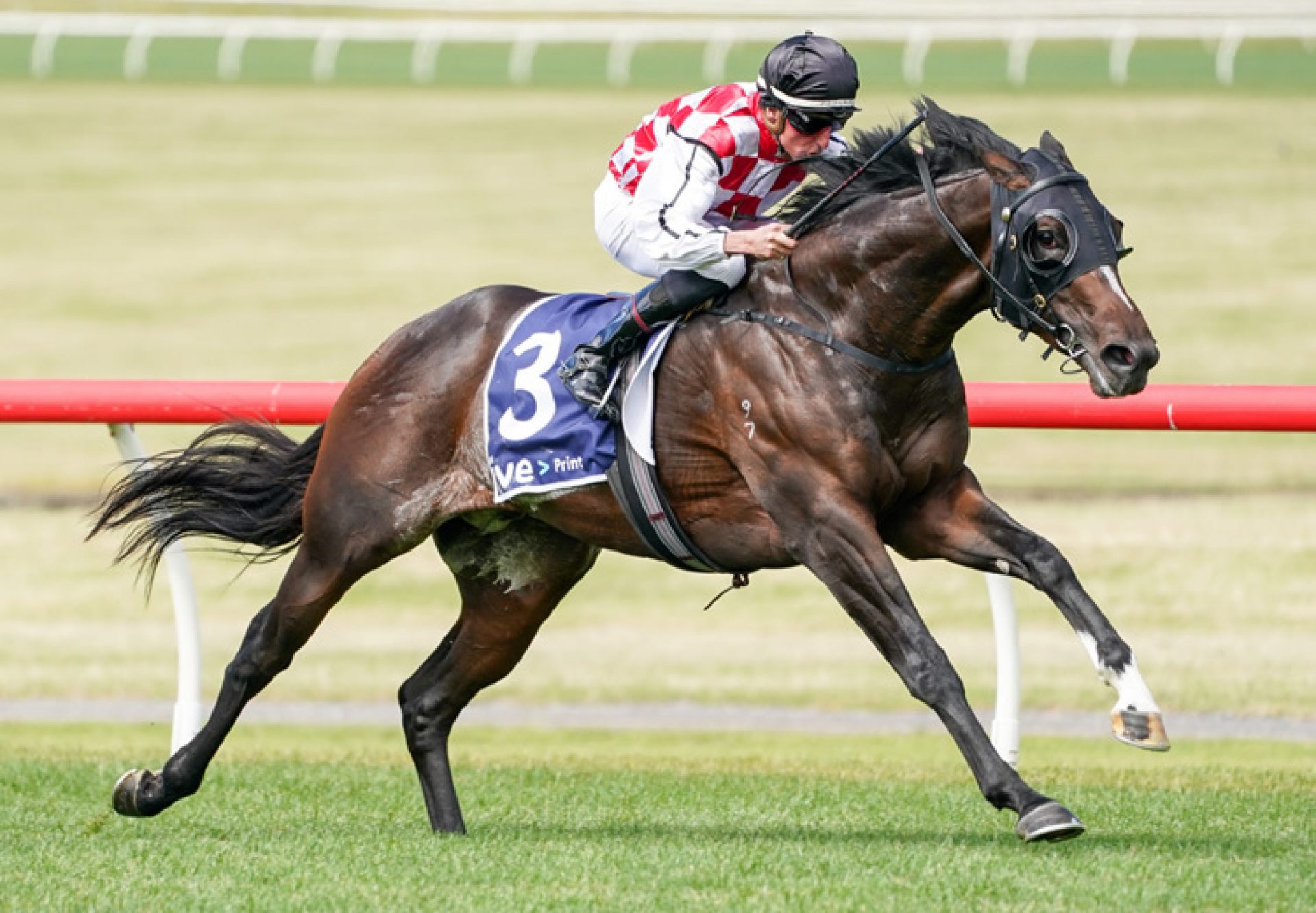 Narvaez (Vancouver) winning at Sandown