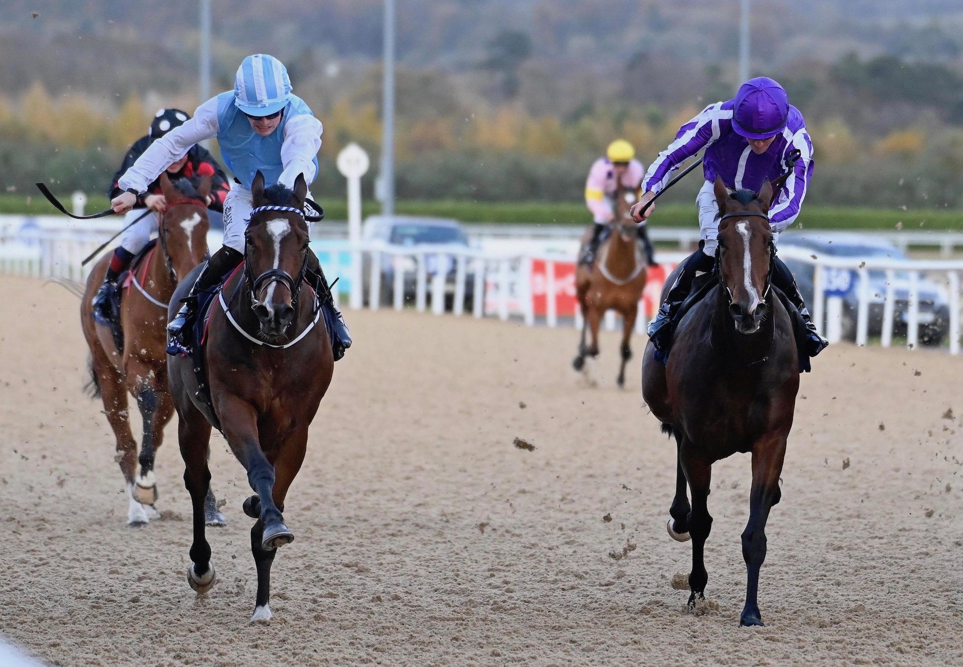 Navarra Pace (Footstepsinthesand) Wins The Maiden At Dundalk