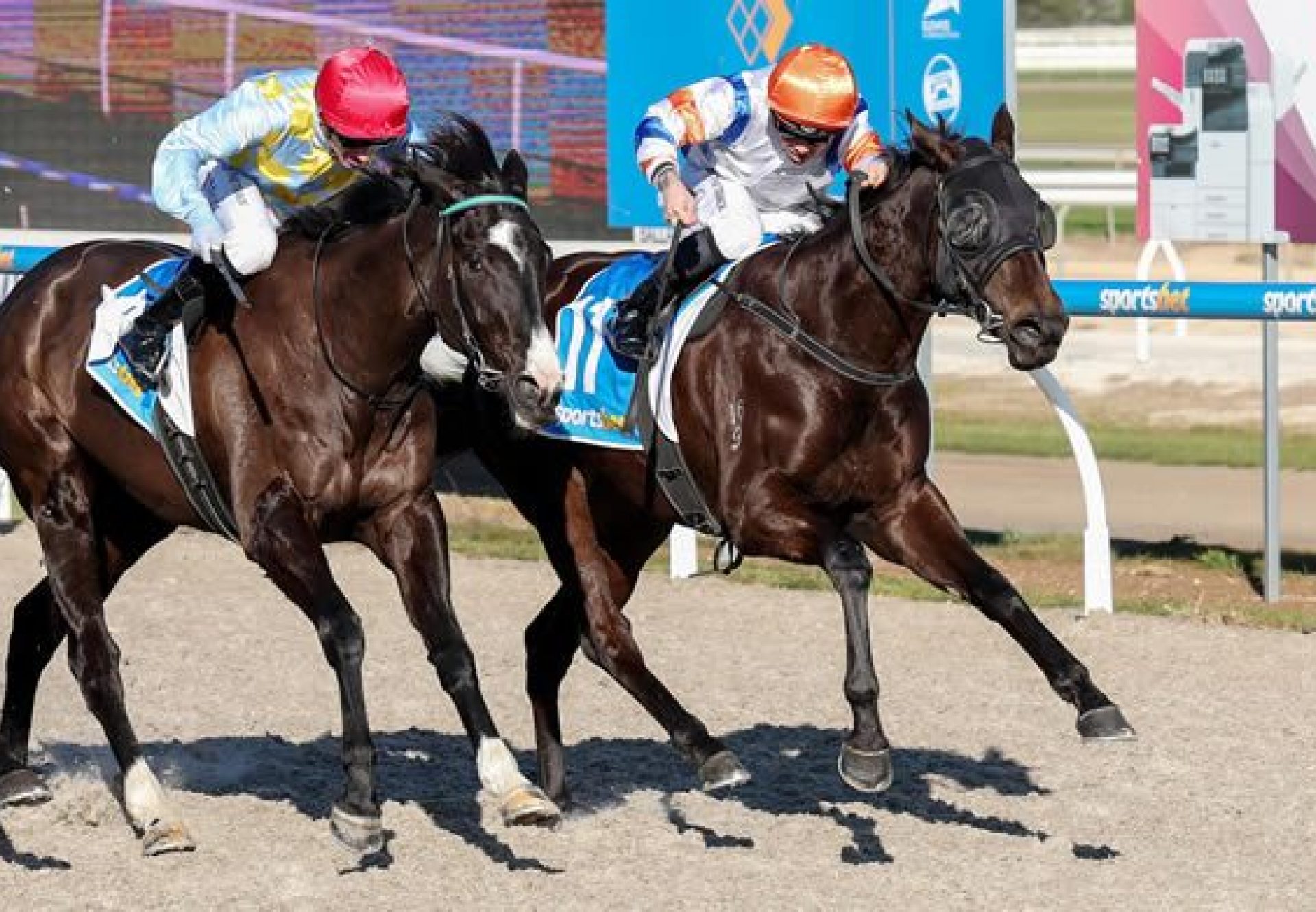 Navy Black (Merchant Navy) winning at Ballarat