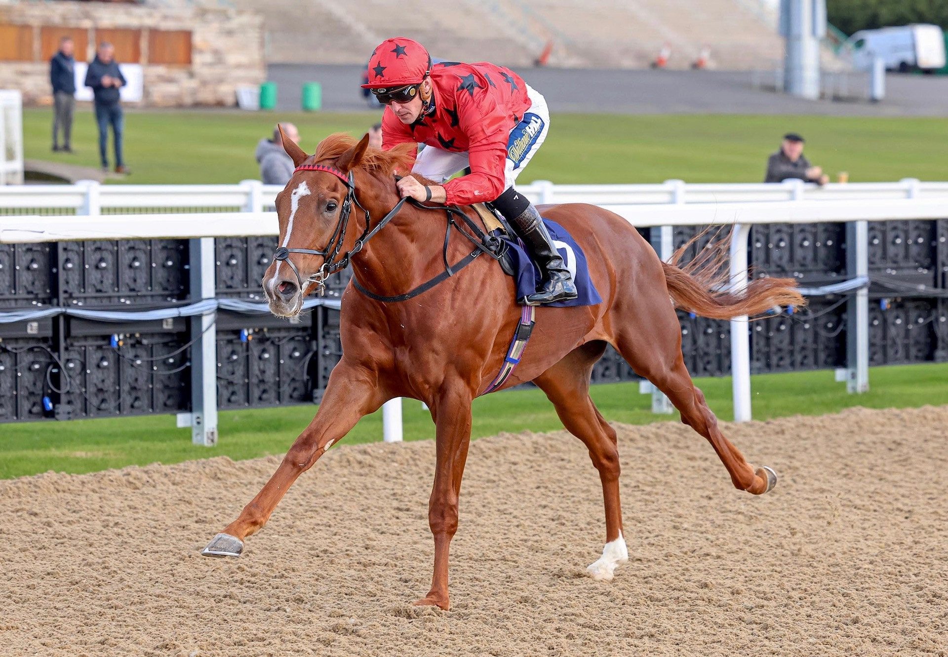 Naxos (Saxon Warrior) Makes A Winning Debut at Newcastle