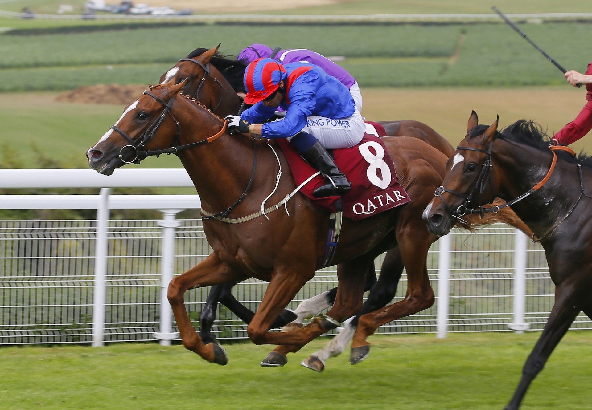 Nayef Road (Galileo) wins the Gr.3 Gordon Stakes at Goodwood