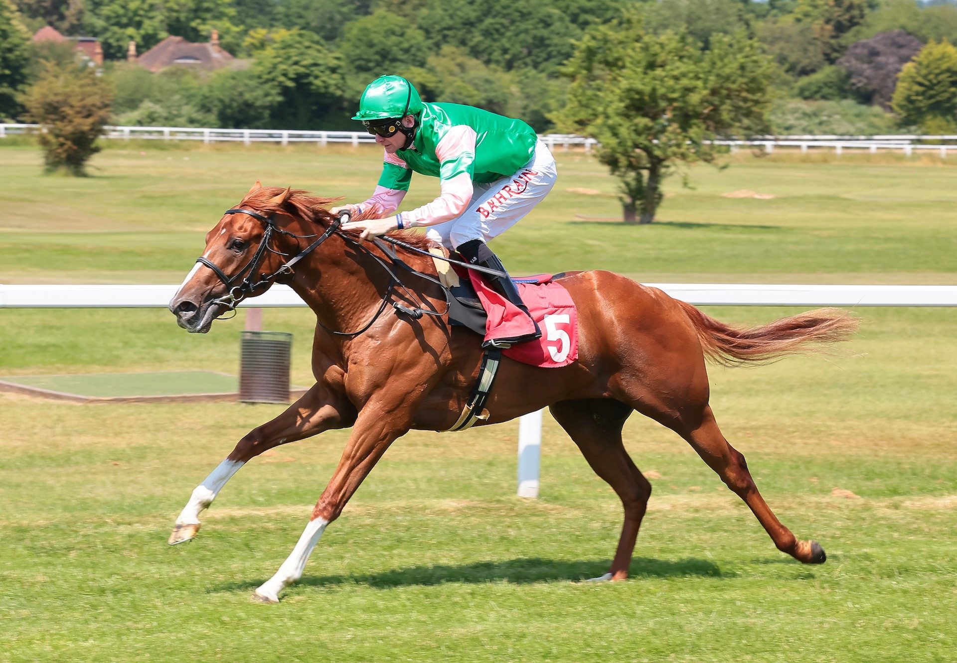 Nazalan (Starspangledbanner) Wins At Sandown