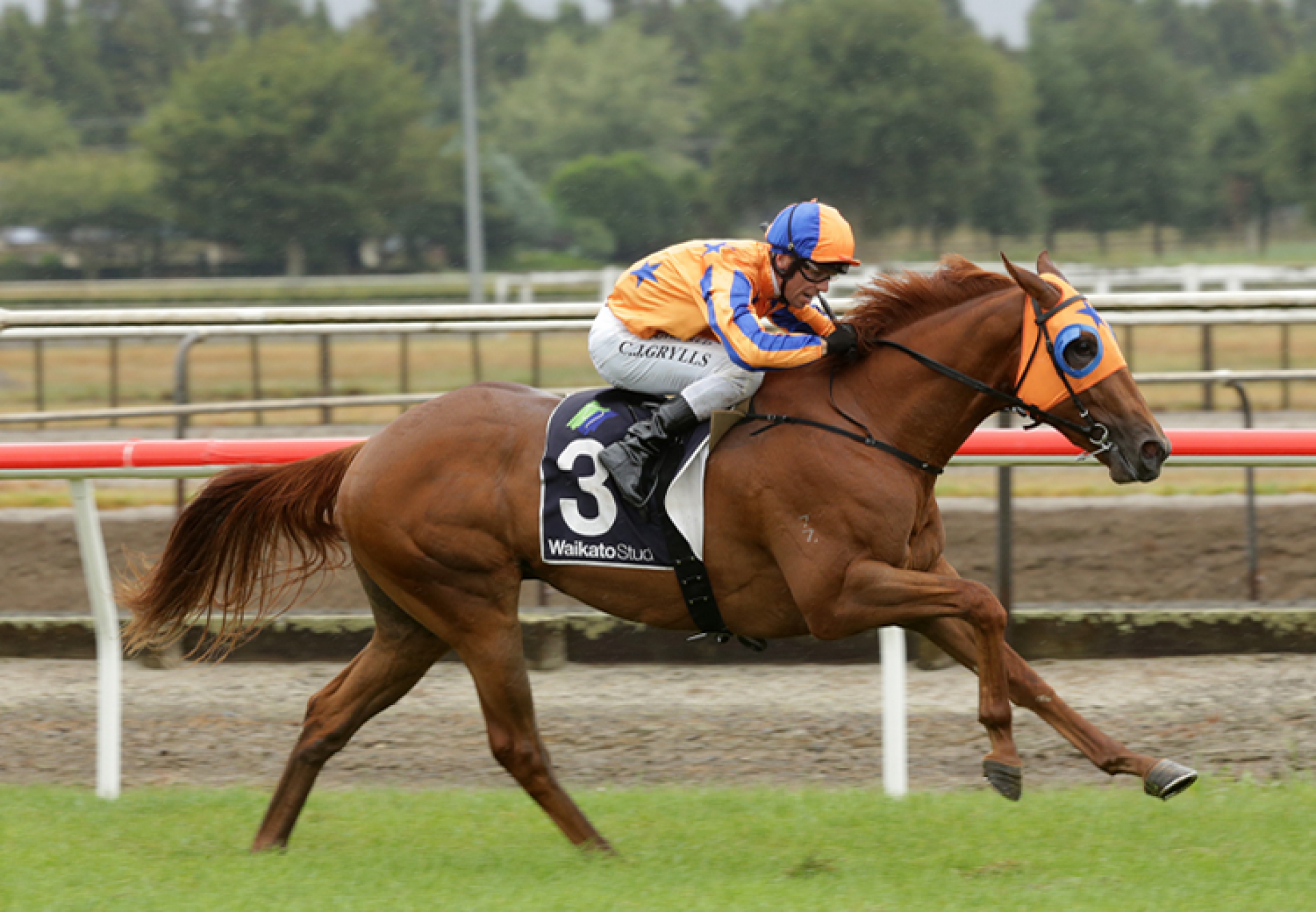 Need I Say More (No Nay Never) winning the Gr.3 Waikato Stud Slipper at Matmata